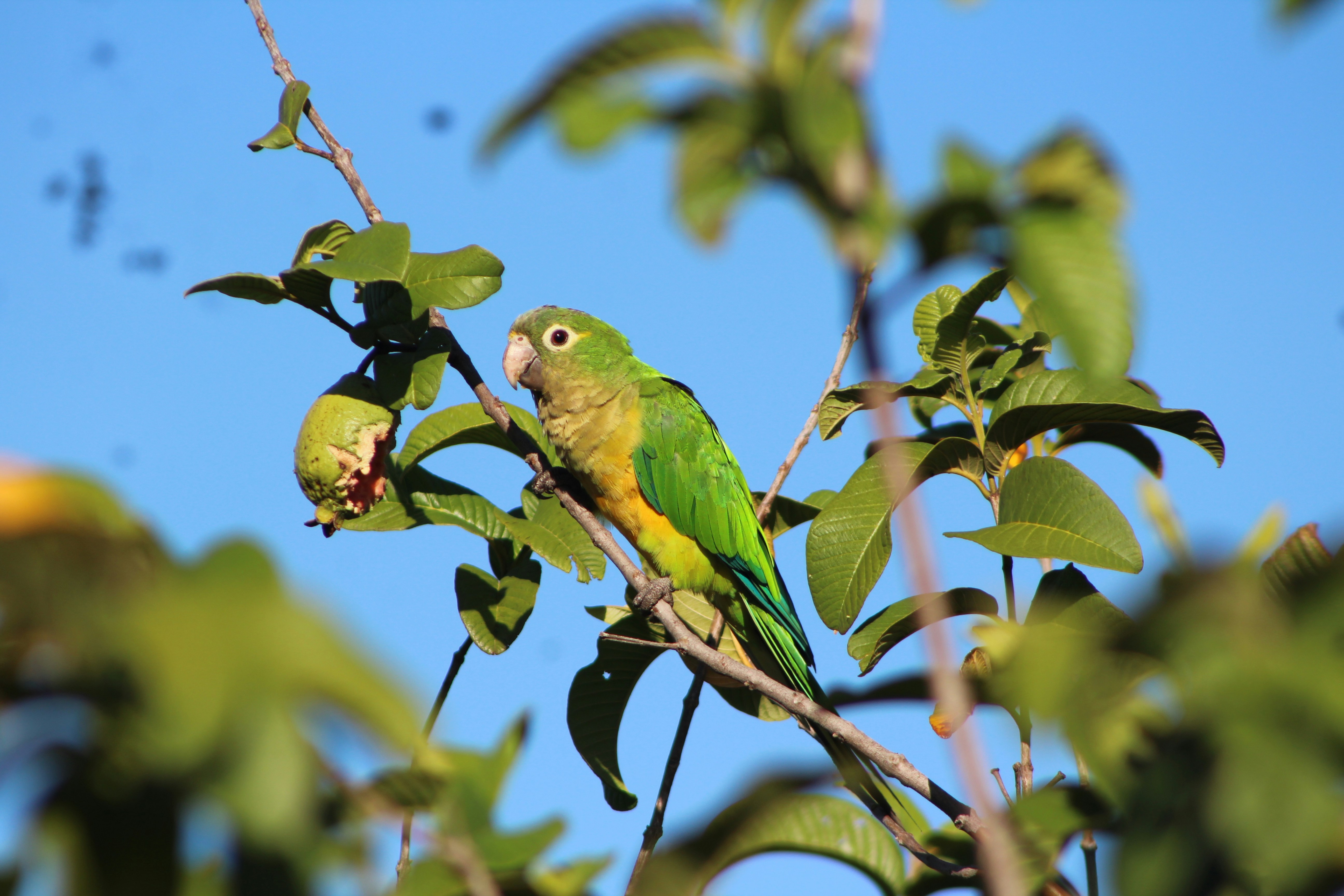 Photo by eric_silva821