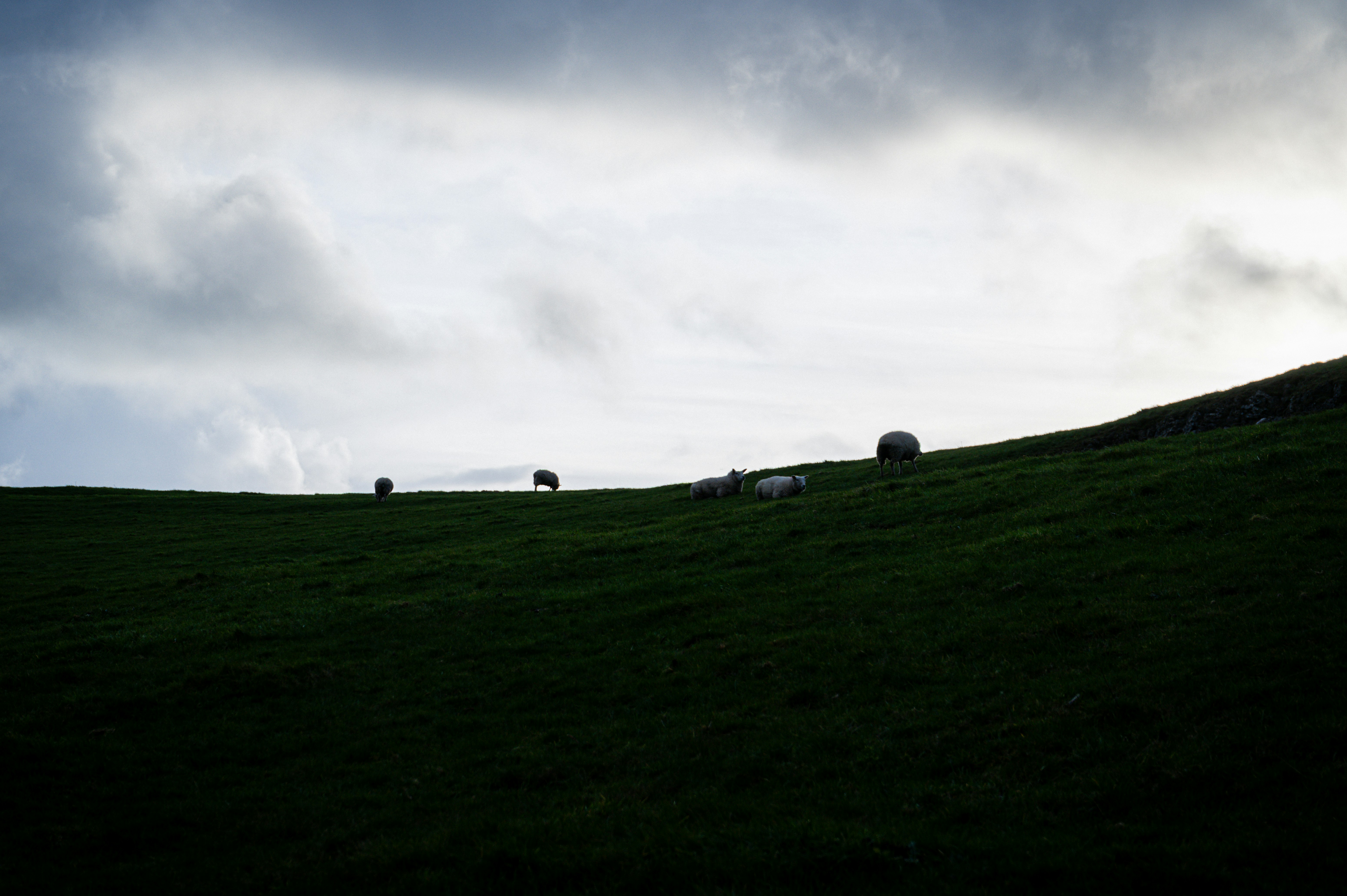 Photo by julia_fiander