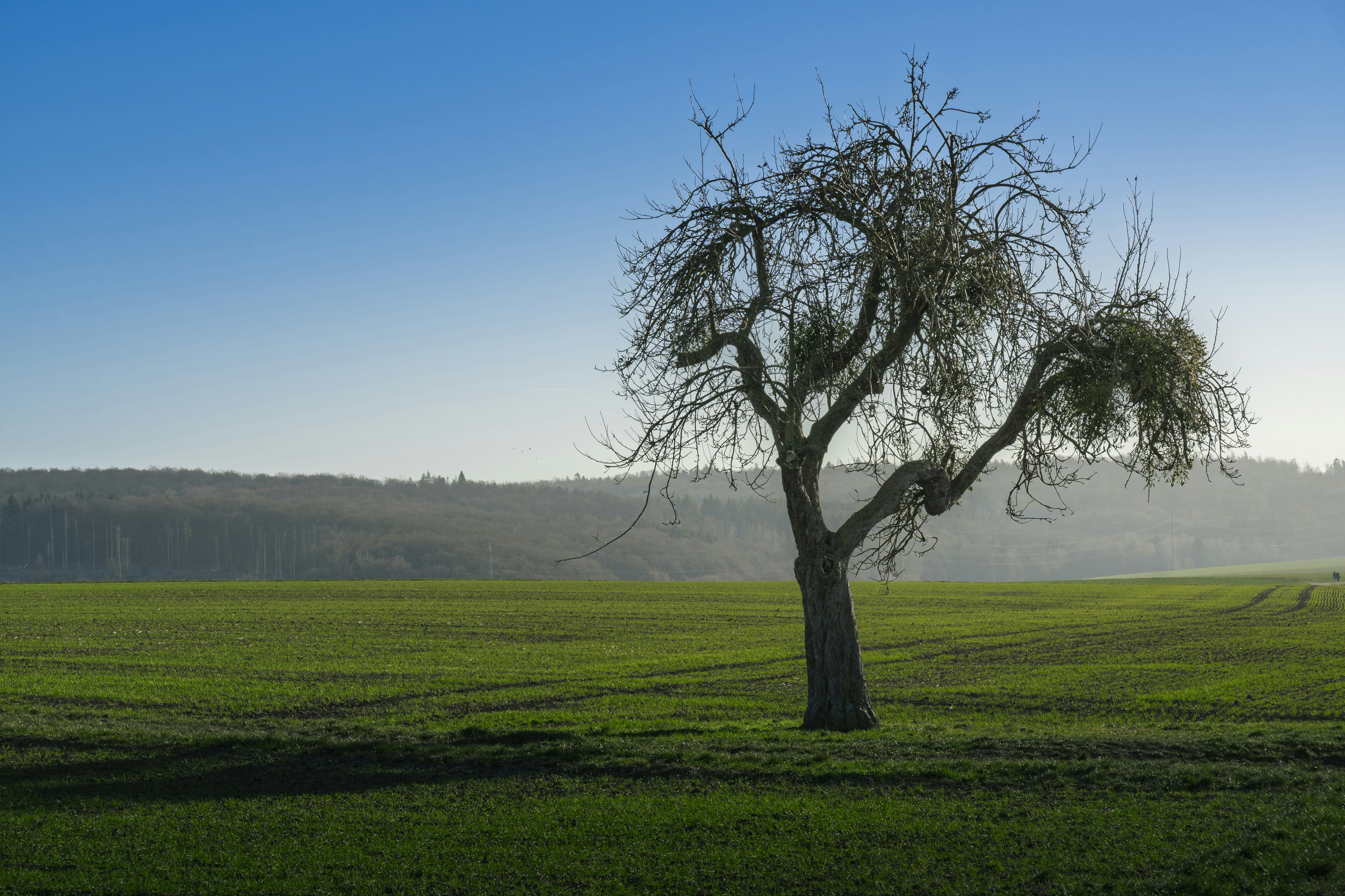 Photo by jonathan_rthg