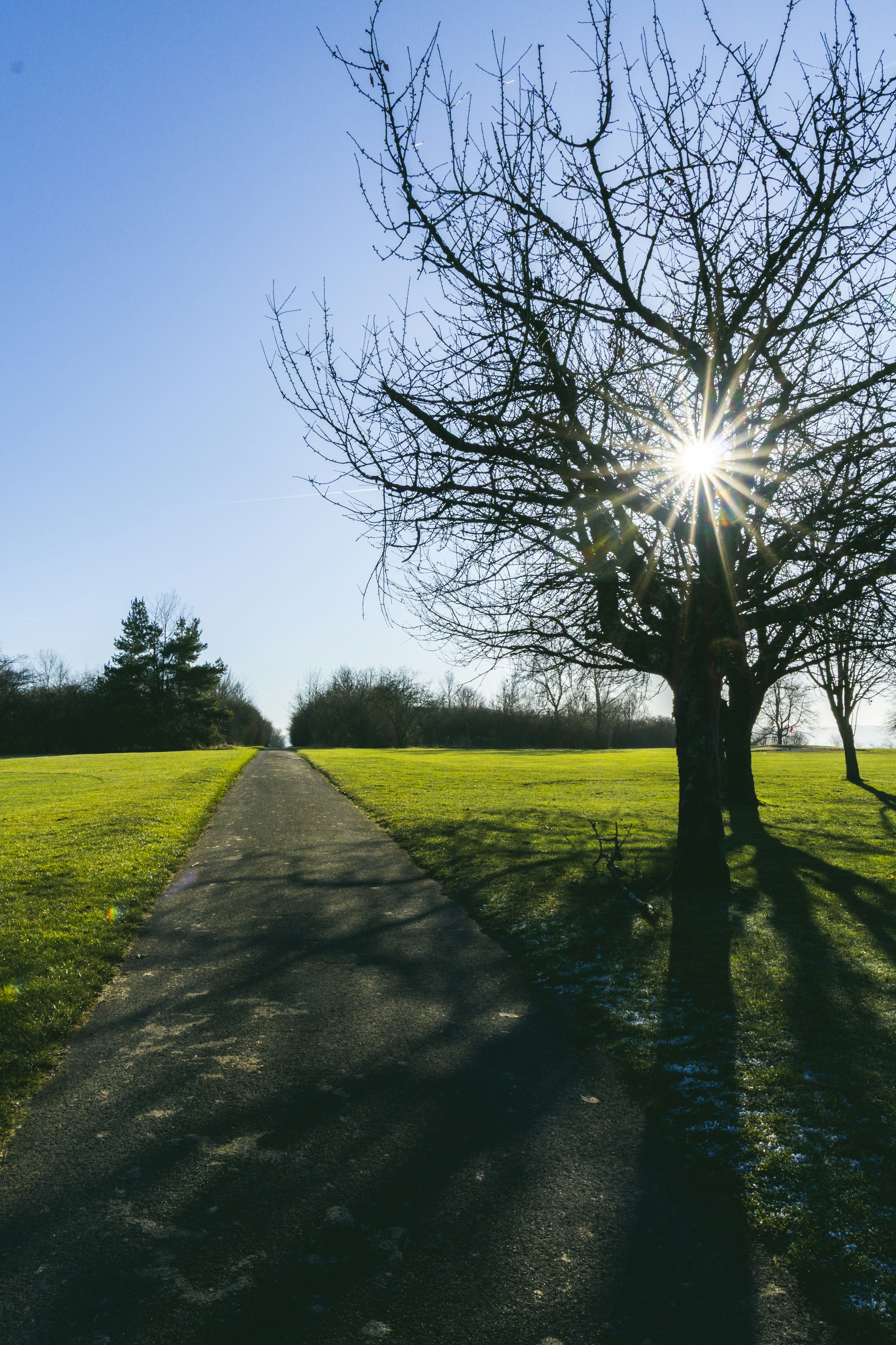 Photo by jonathan_rthg