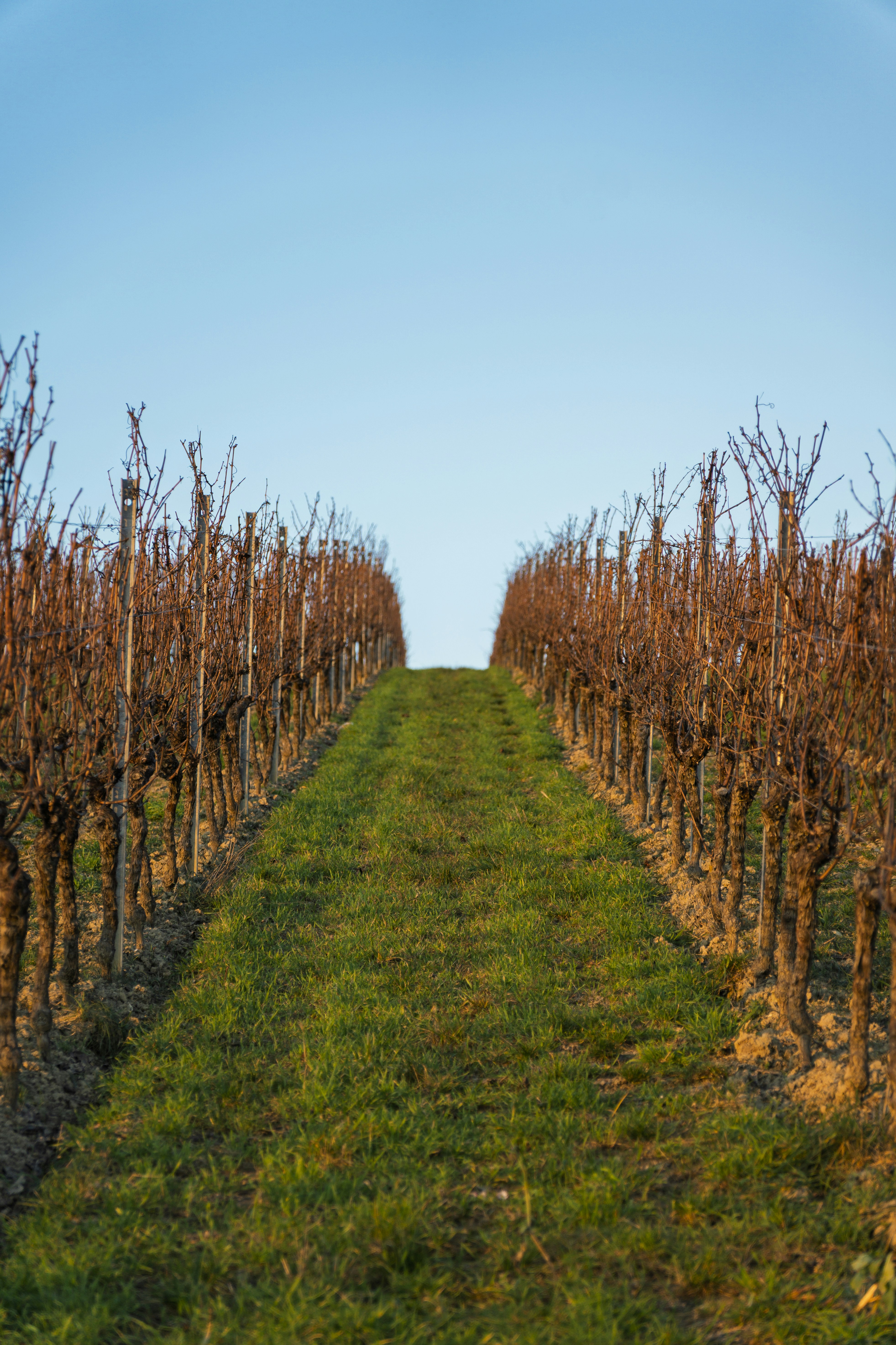 Photo by jonathan_rthg