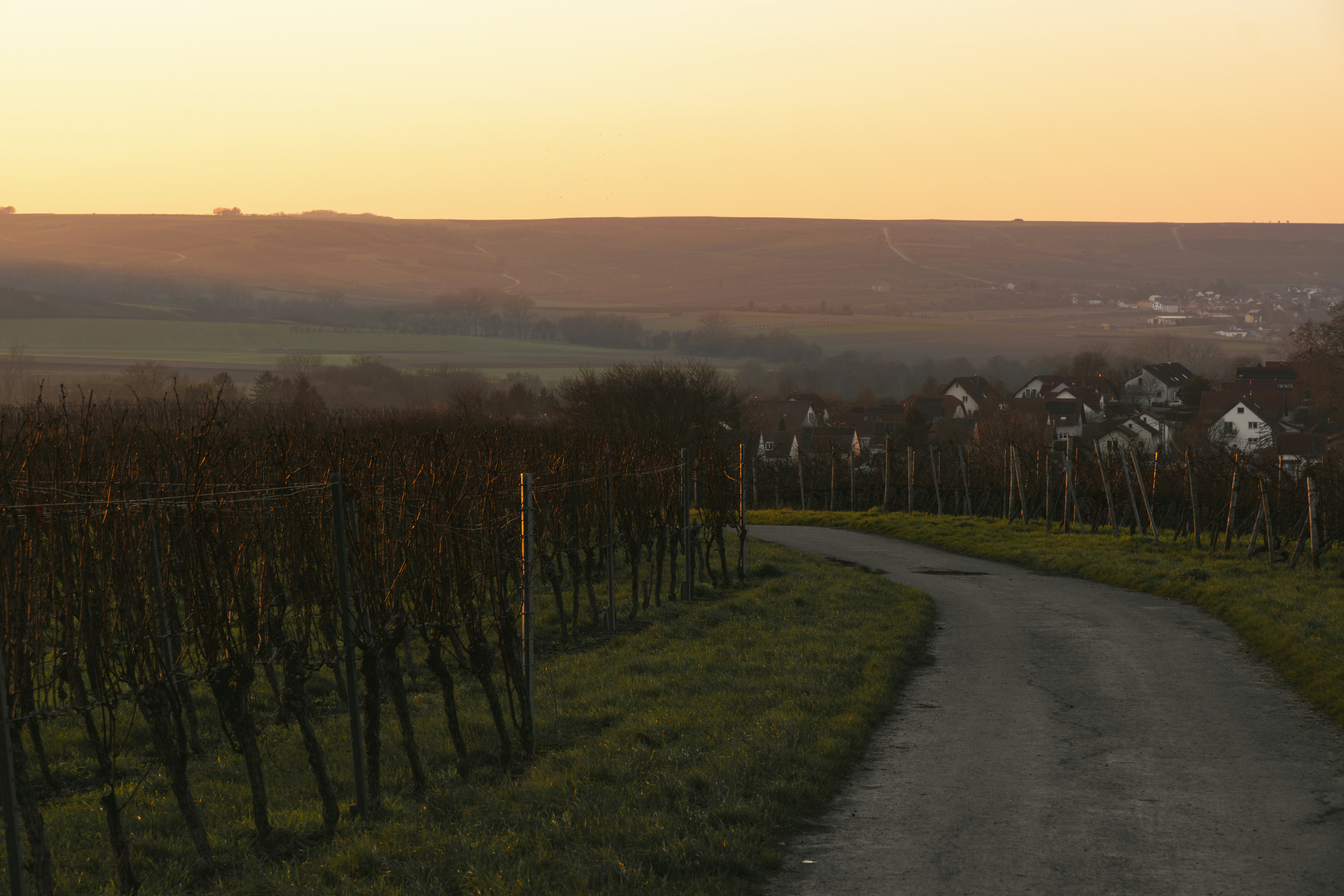 Photo by jonathan_rthg