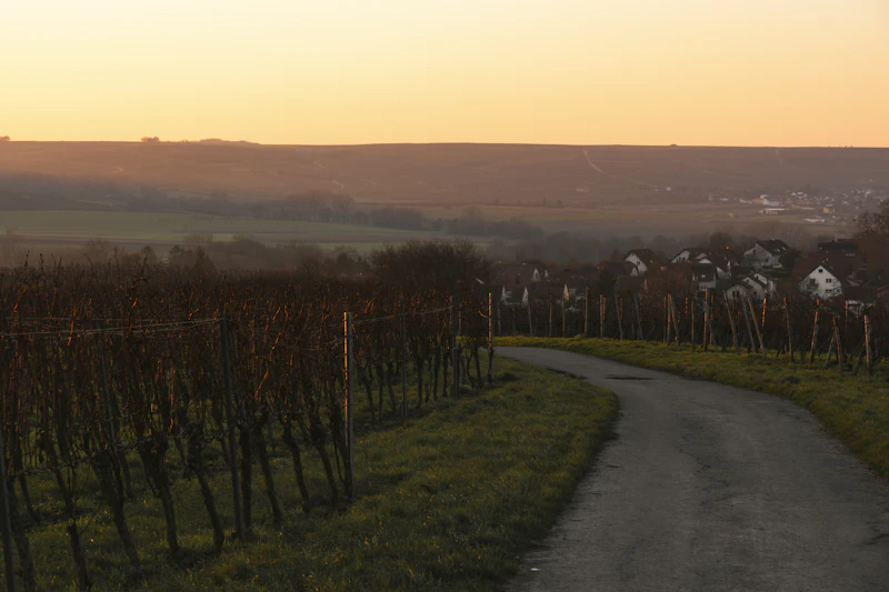 Wine Country Tour