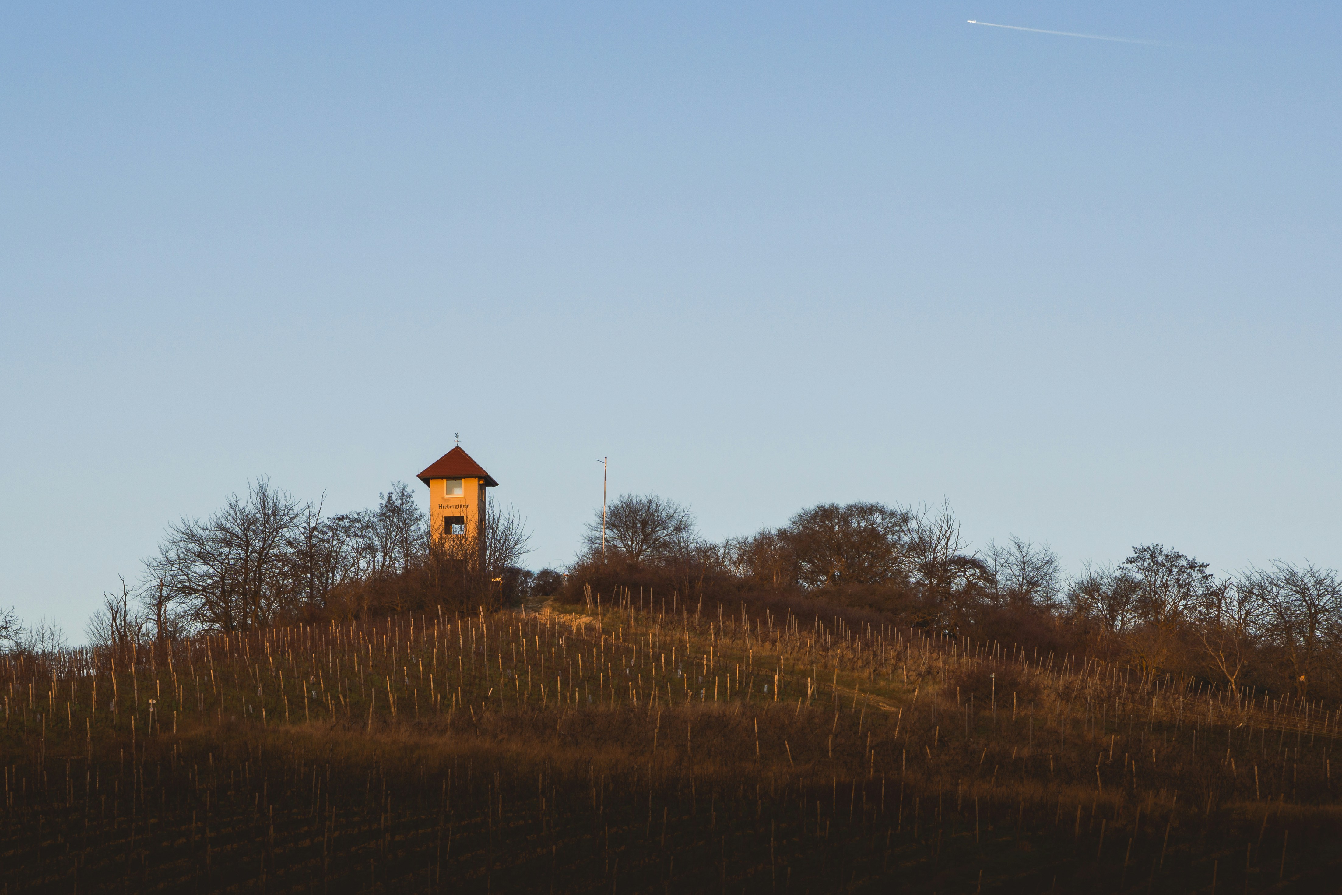 Photo by jonathan_rthg