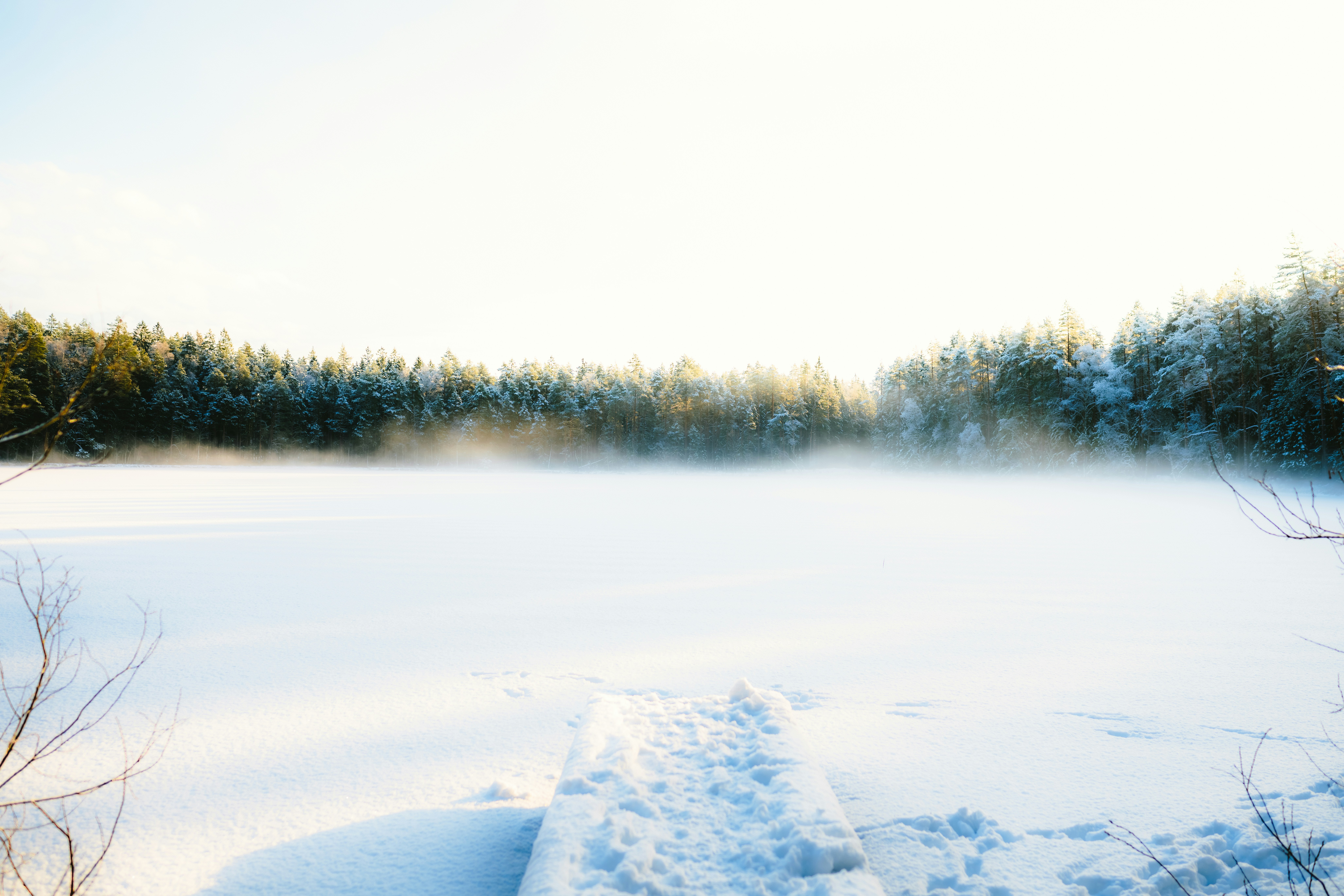 Mes conseils pour ici