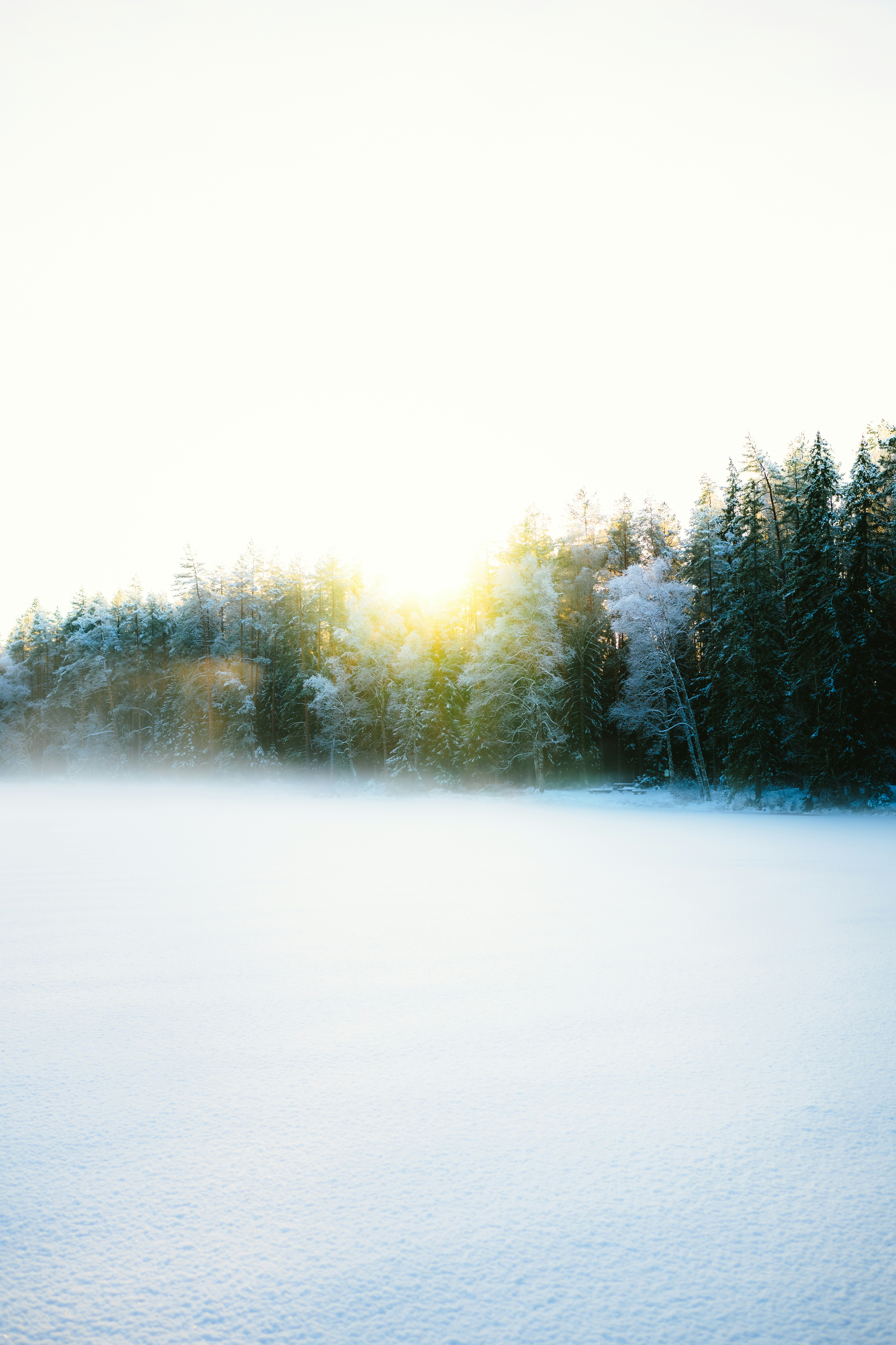 Daily Productive Sharing 1366 - 30 Things Andrew Yeung Learned in 2025