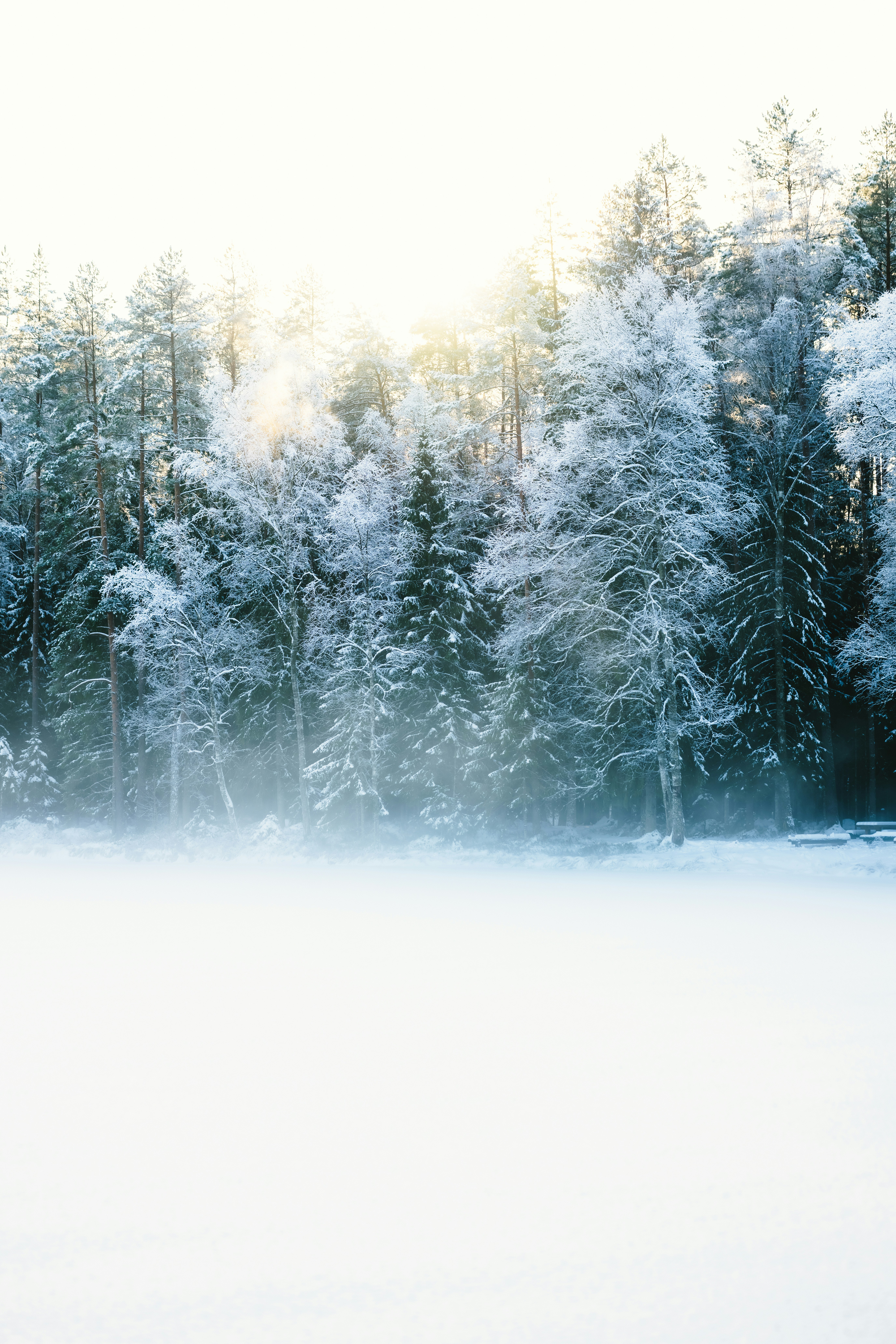 Photo by kristapsungurs