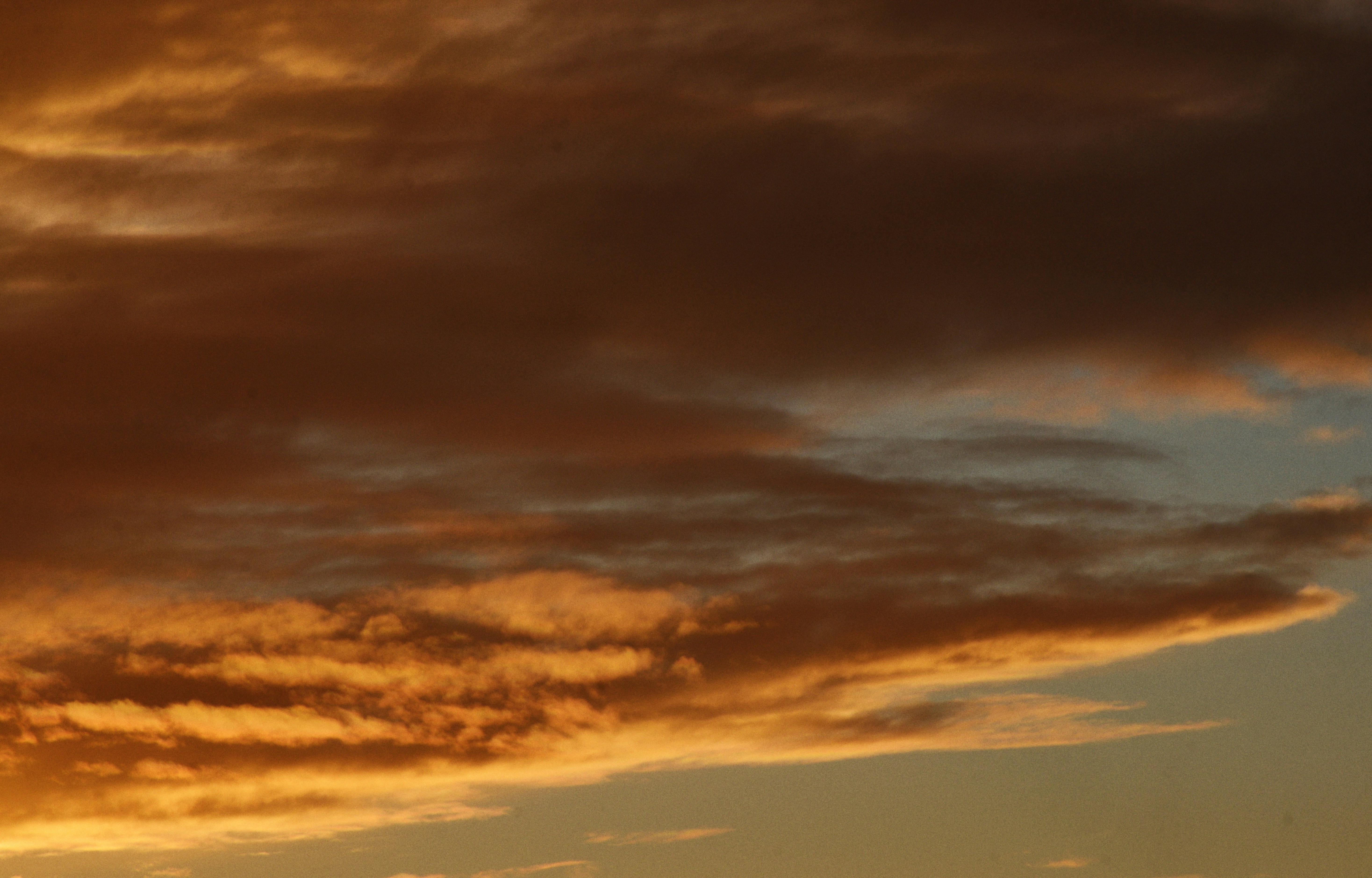 Photo by cherstve_pechivo