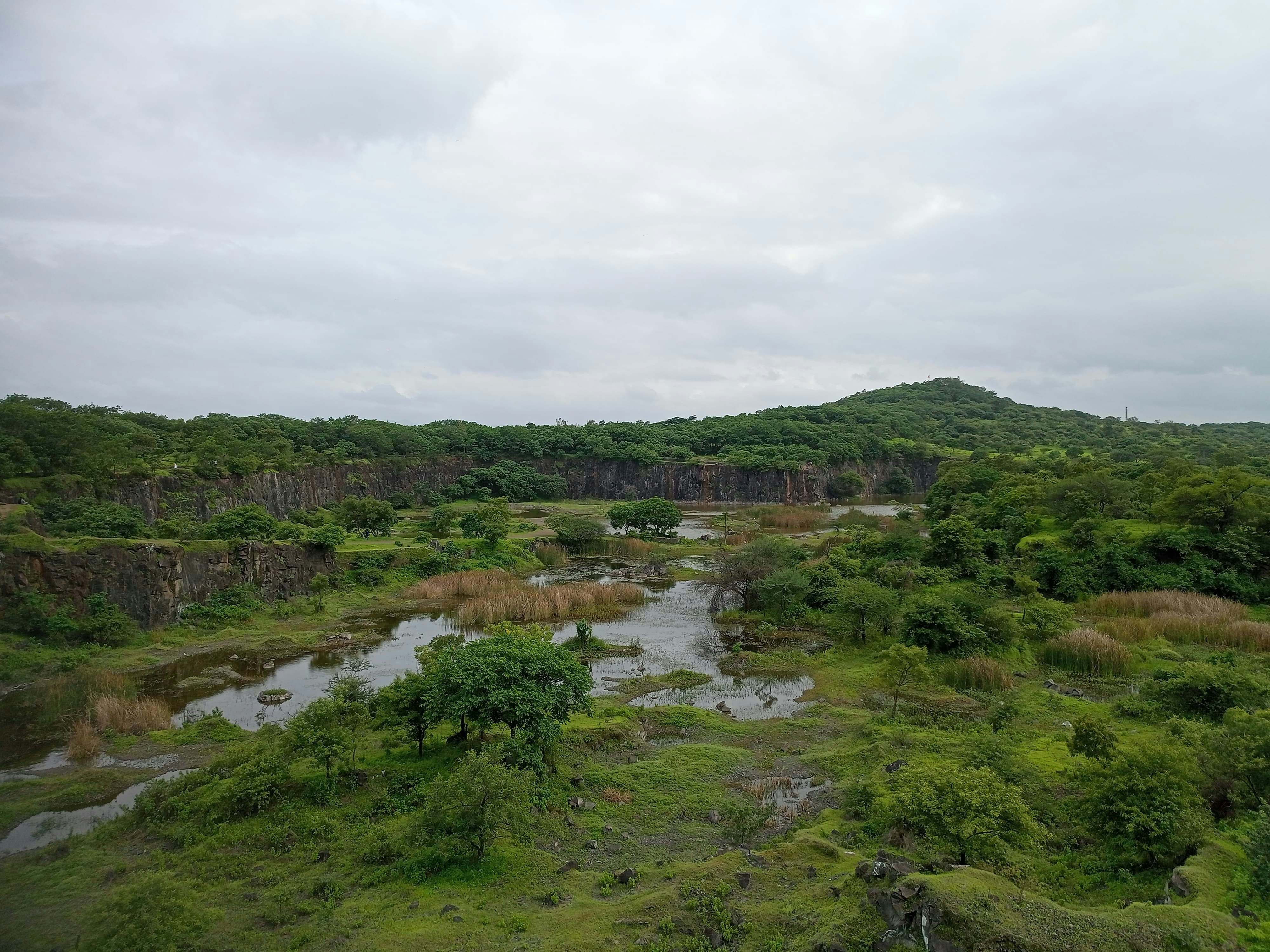 Ciel couvert au-dessus d’un paysage verdoyant luxuriant avec des bassins d’eau.