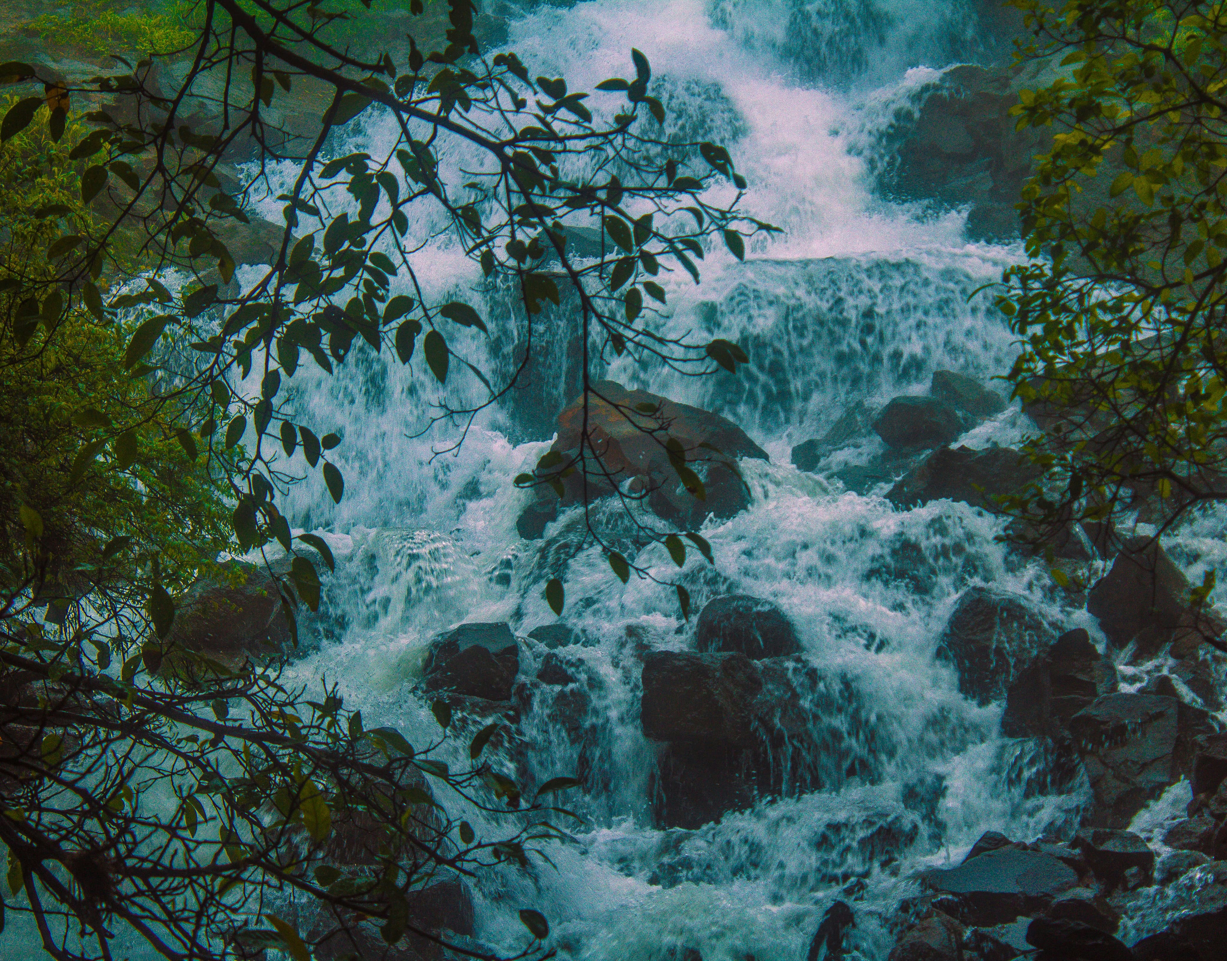 A powerful waterfall cascades over rocks amidst lush foliage. photo ...