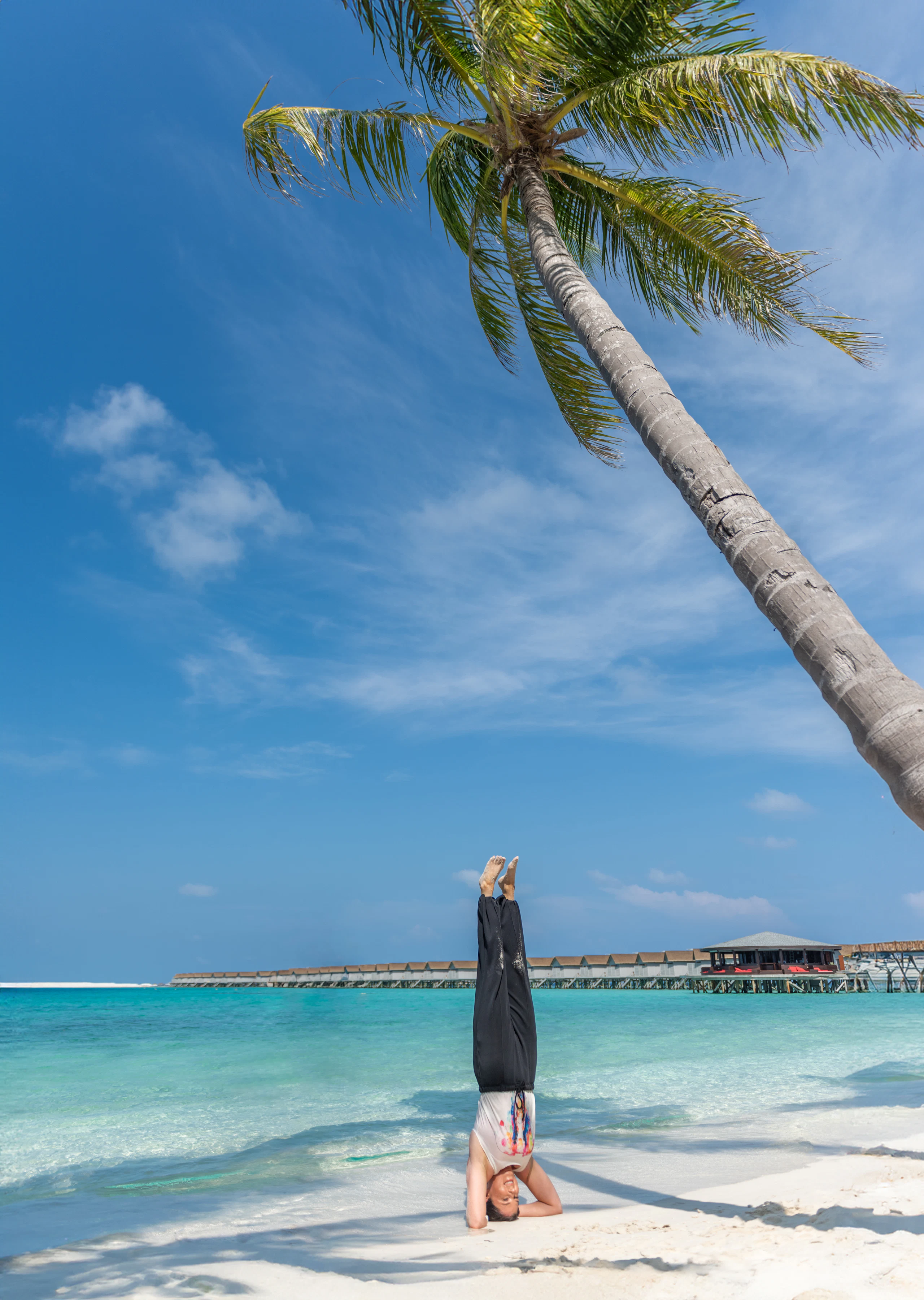 Inversions under the palms