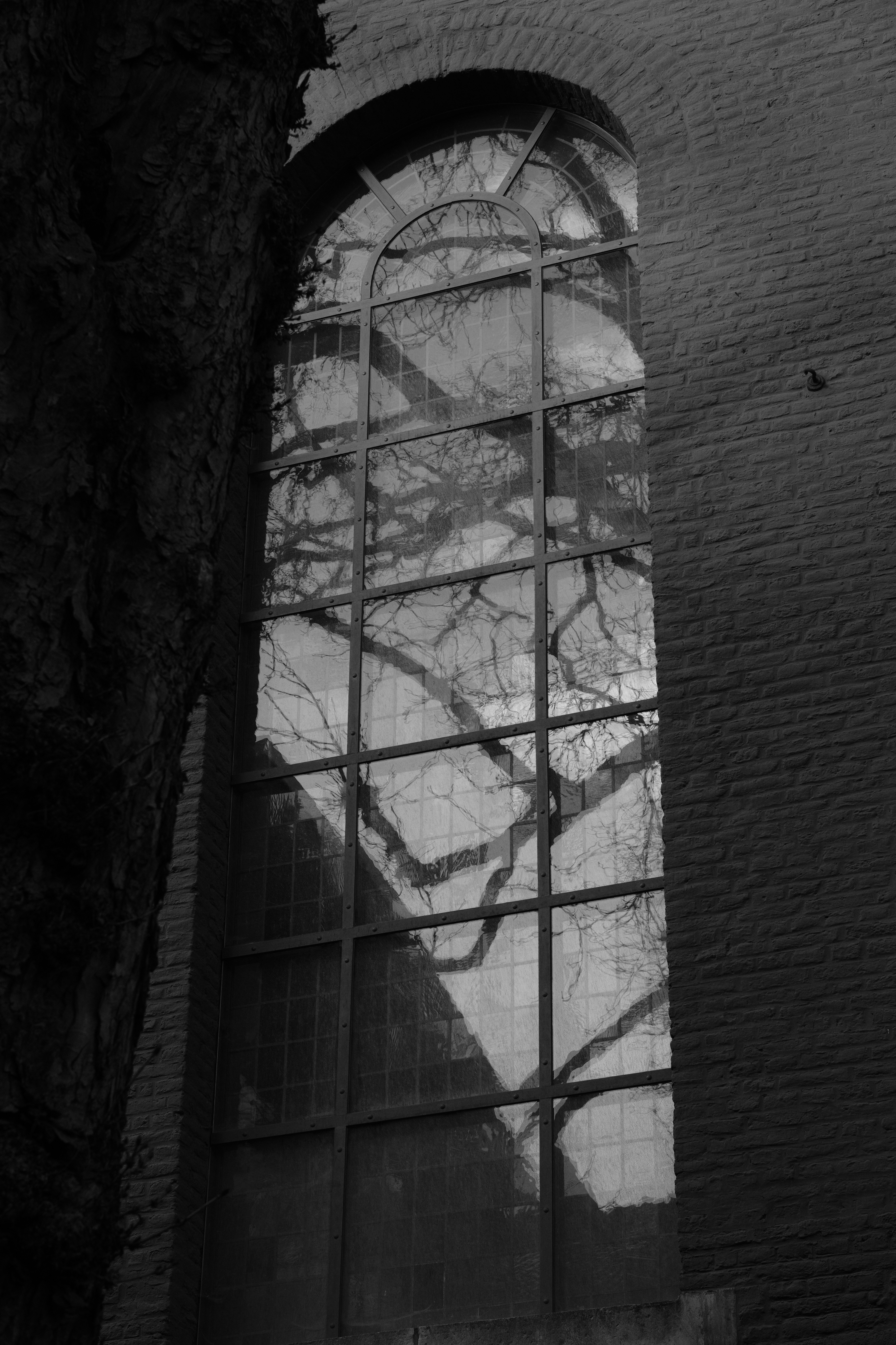 Photo by funkyframefactory2025