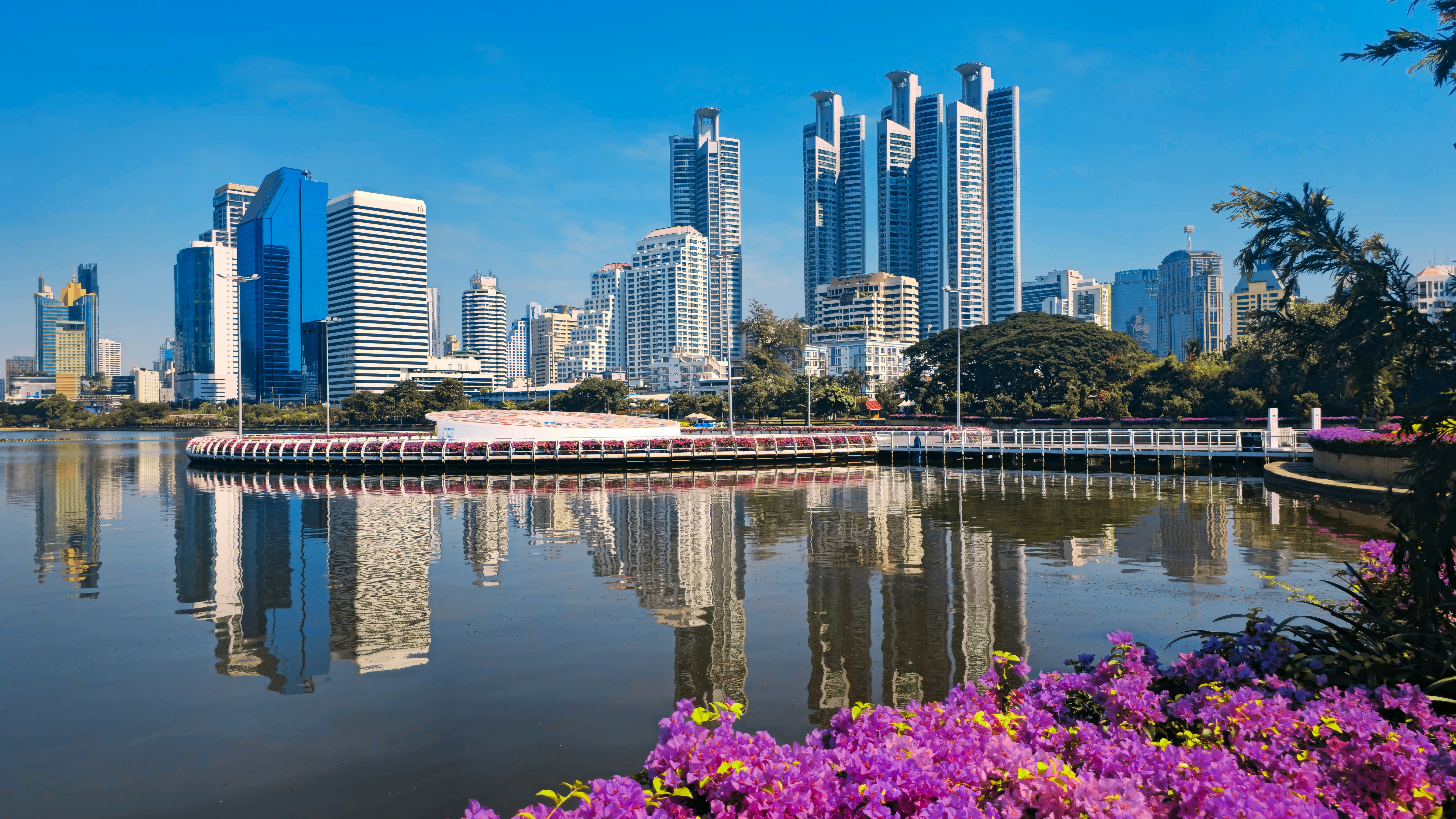 City skyline reflected in a calm lake with flowers.