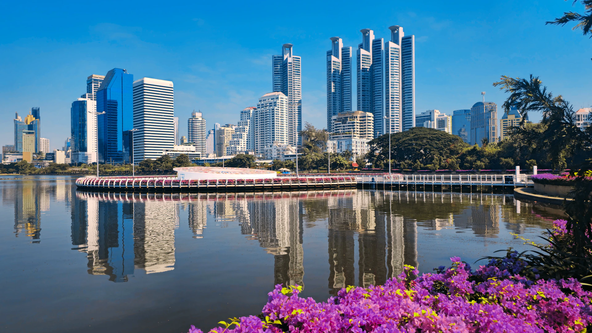 City skyline reflected in a calm lake with flowers.