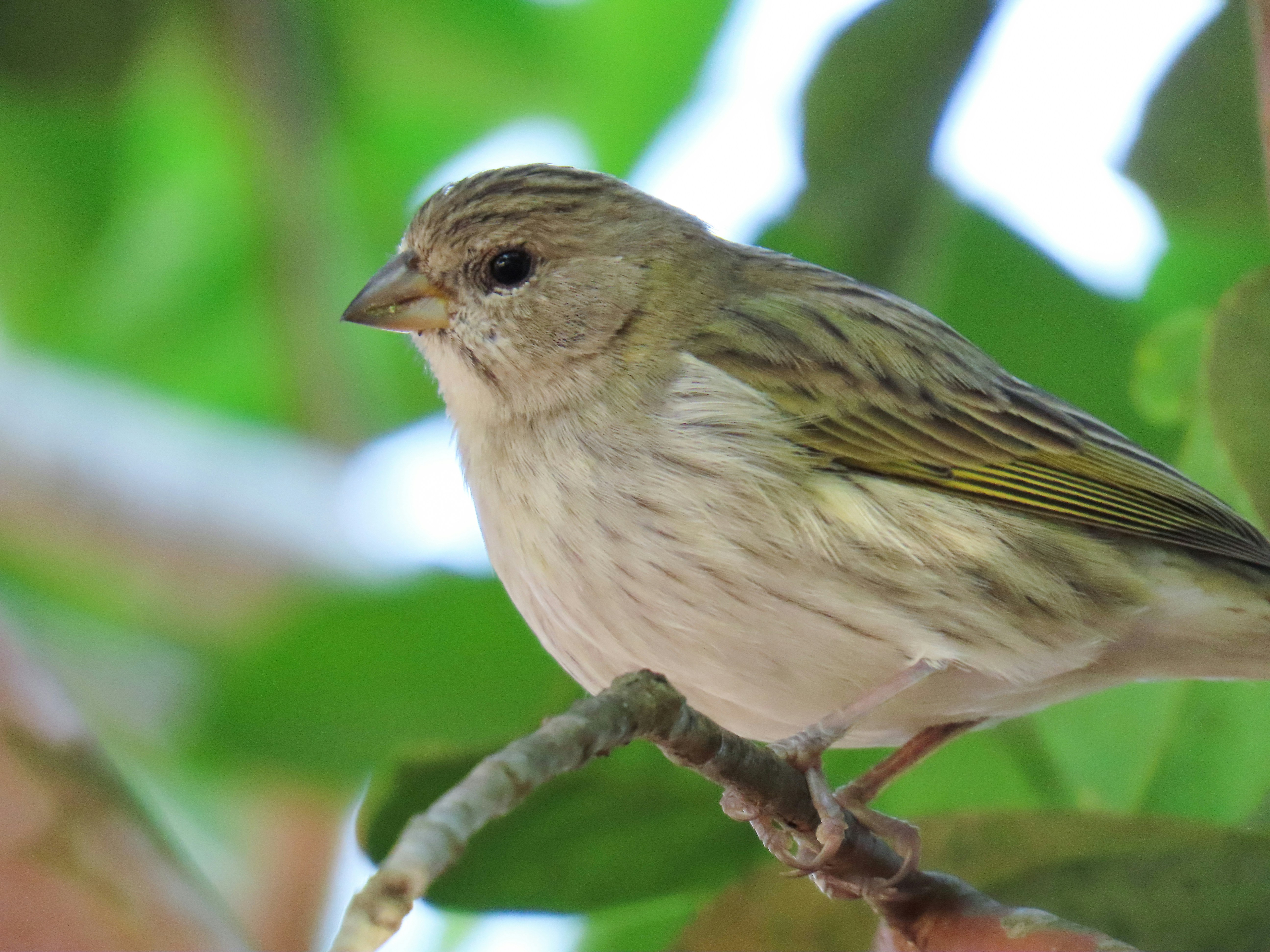 Photo by patricianicoloso