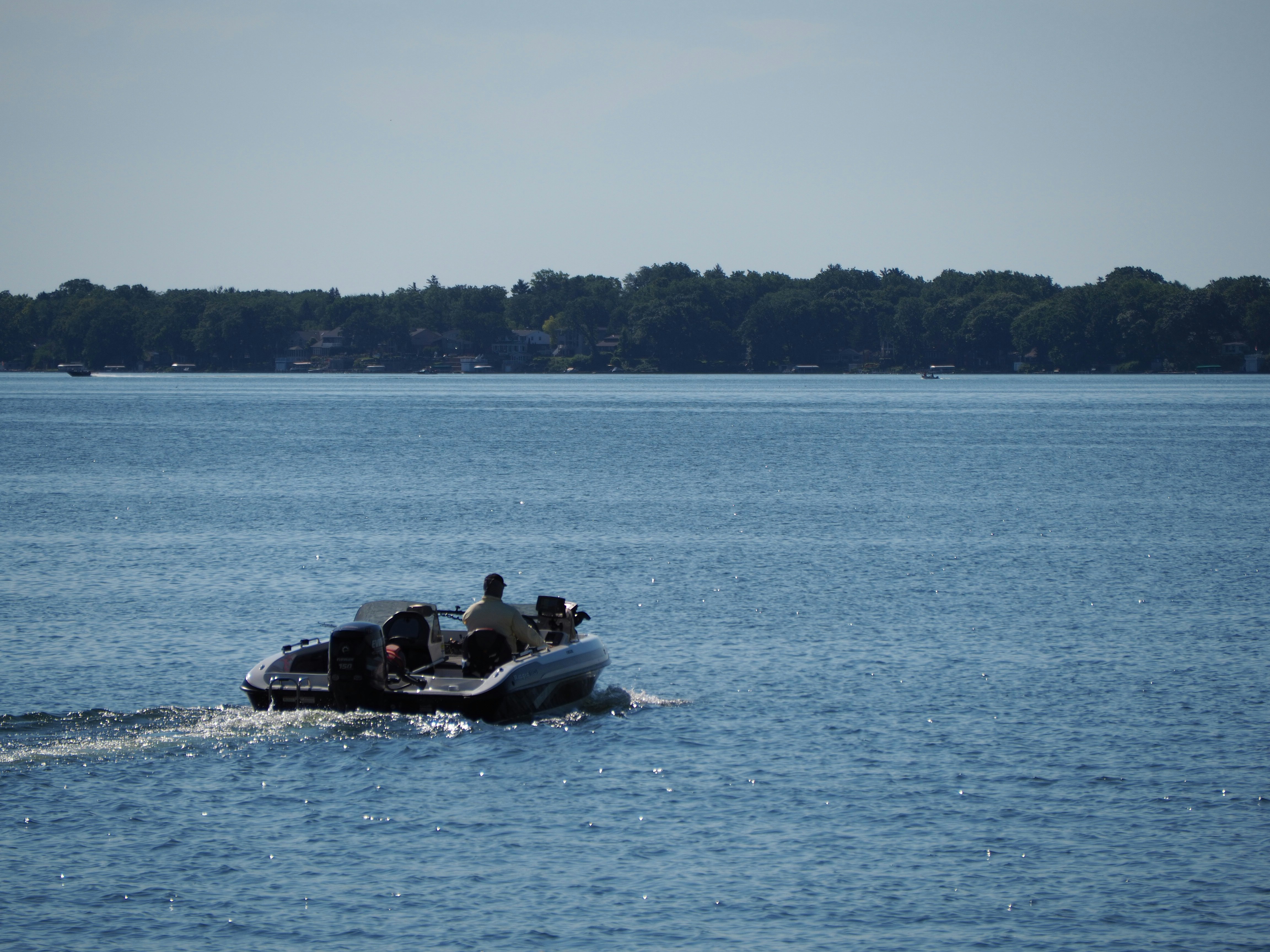 Photo by muscateer777