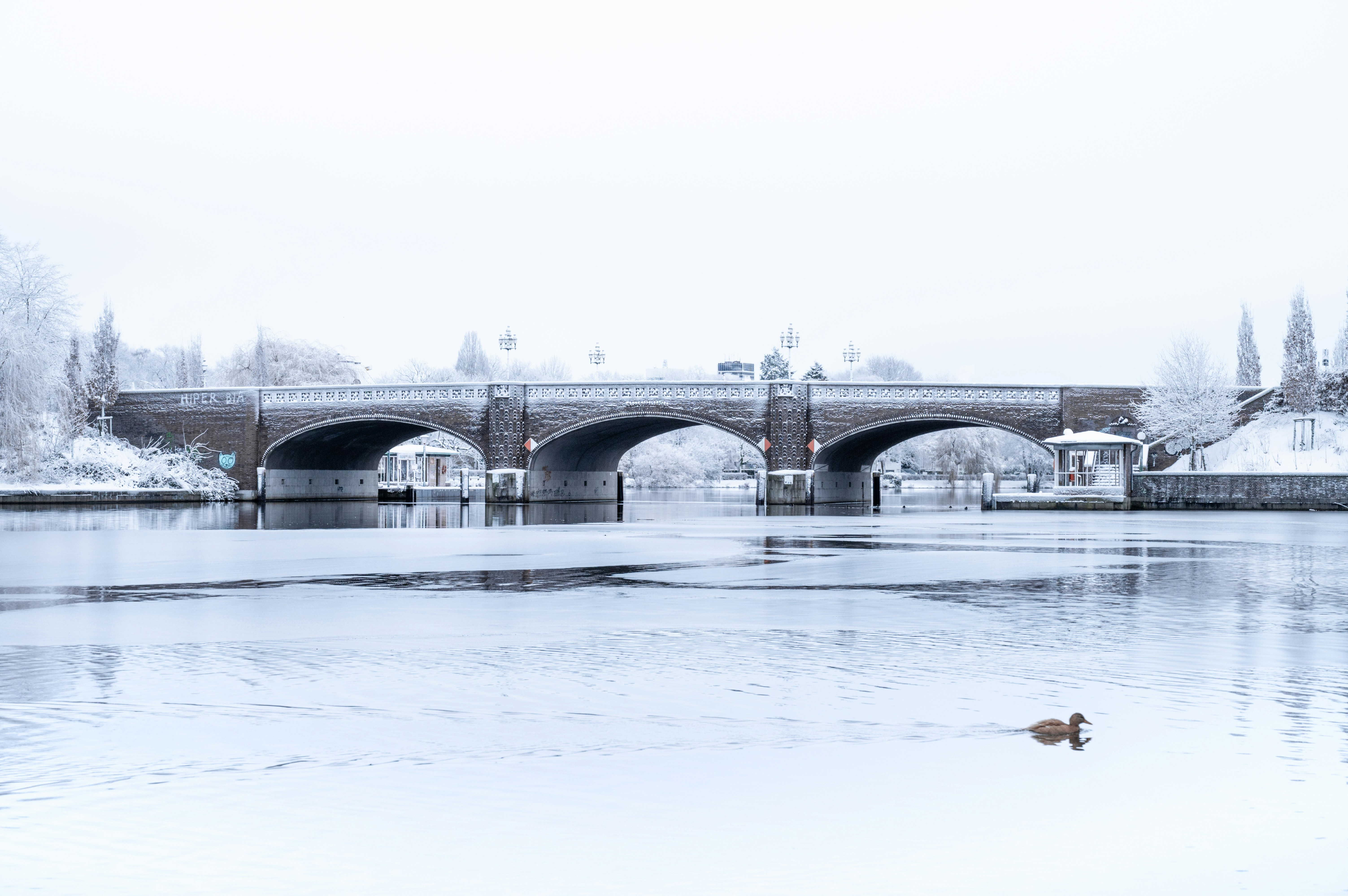 Photo by ruben_aster