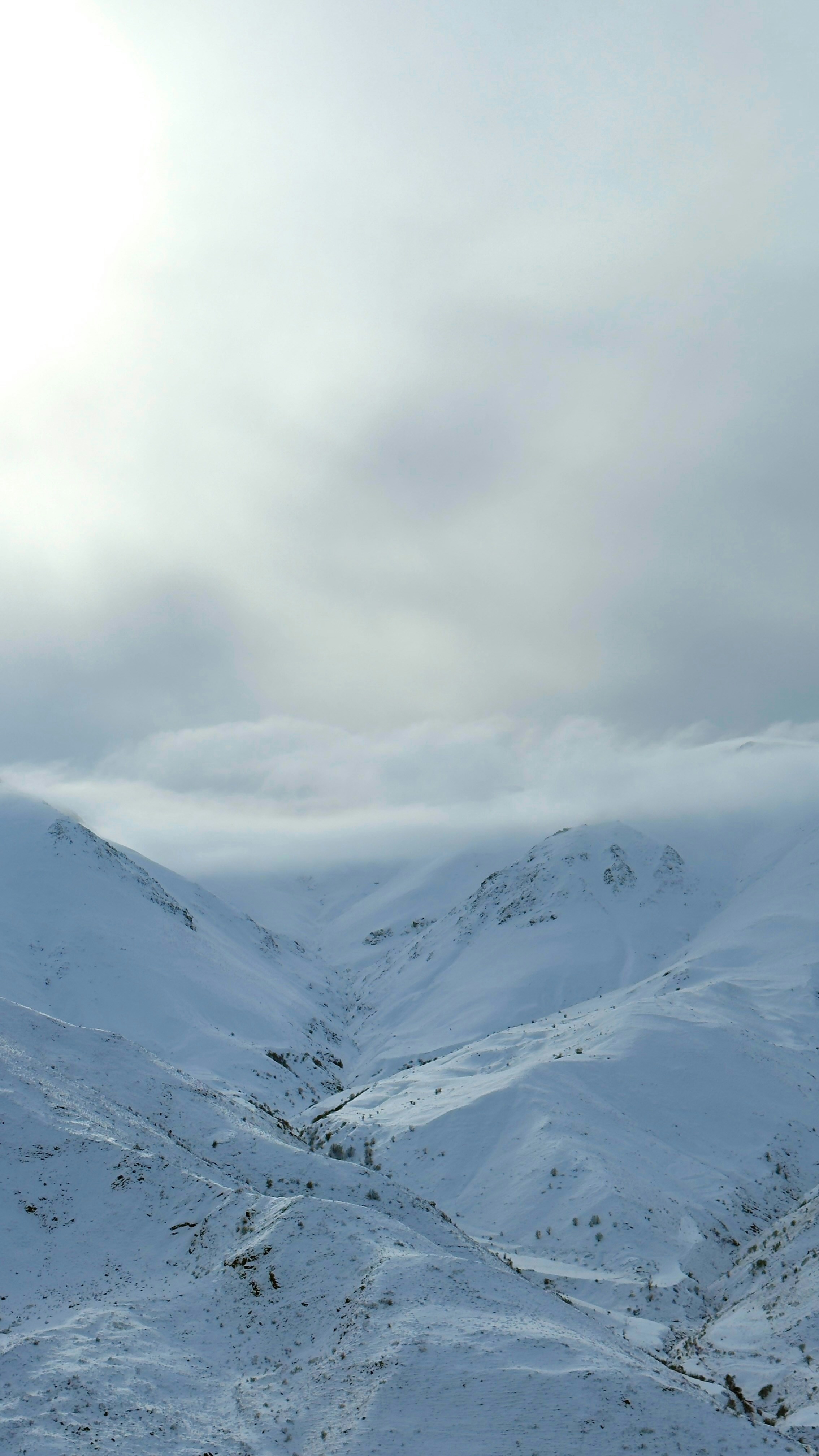 Photo by amirhasanemami