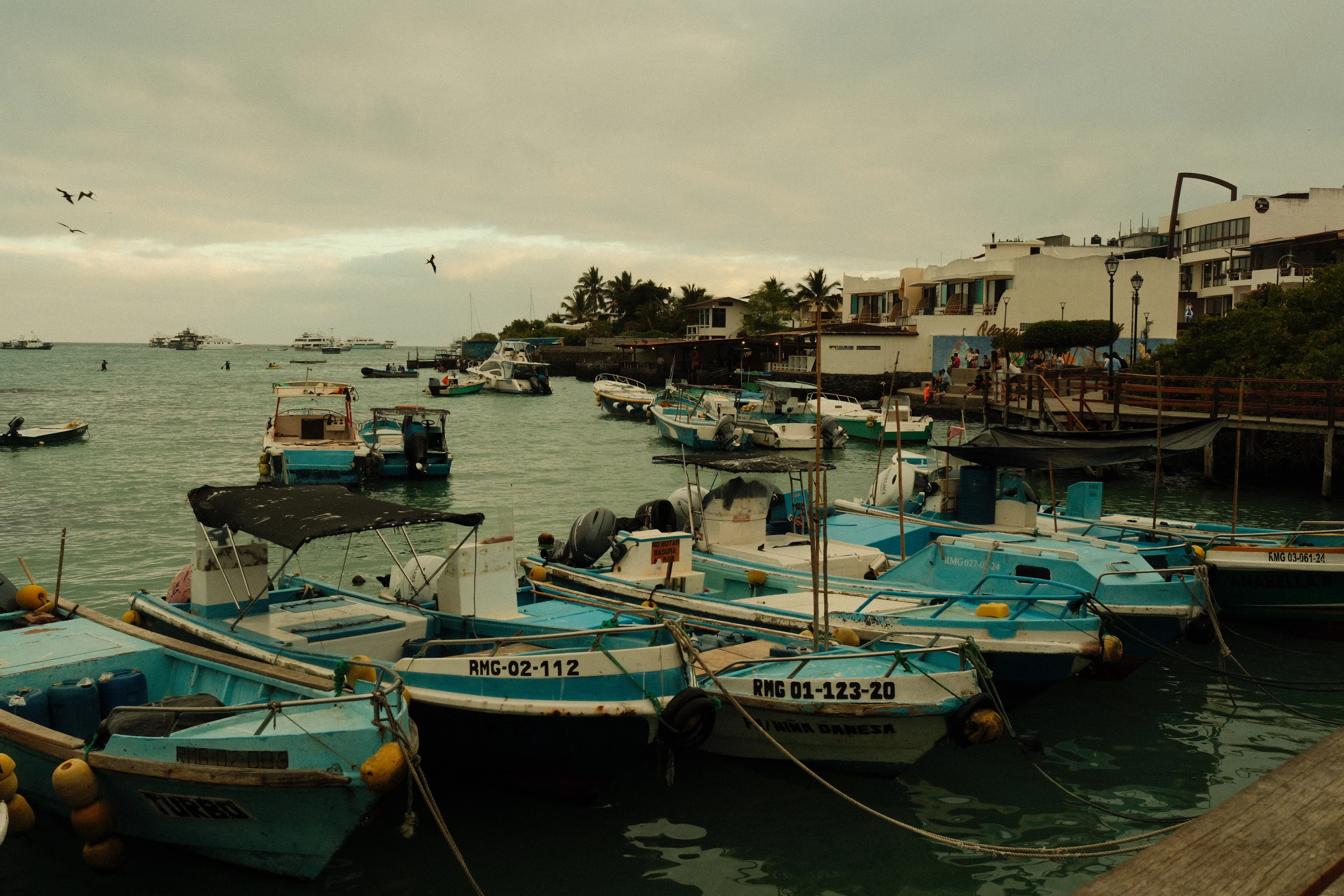 Puerto Ayora