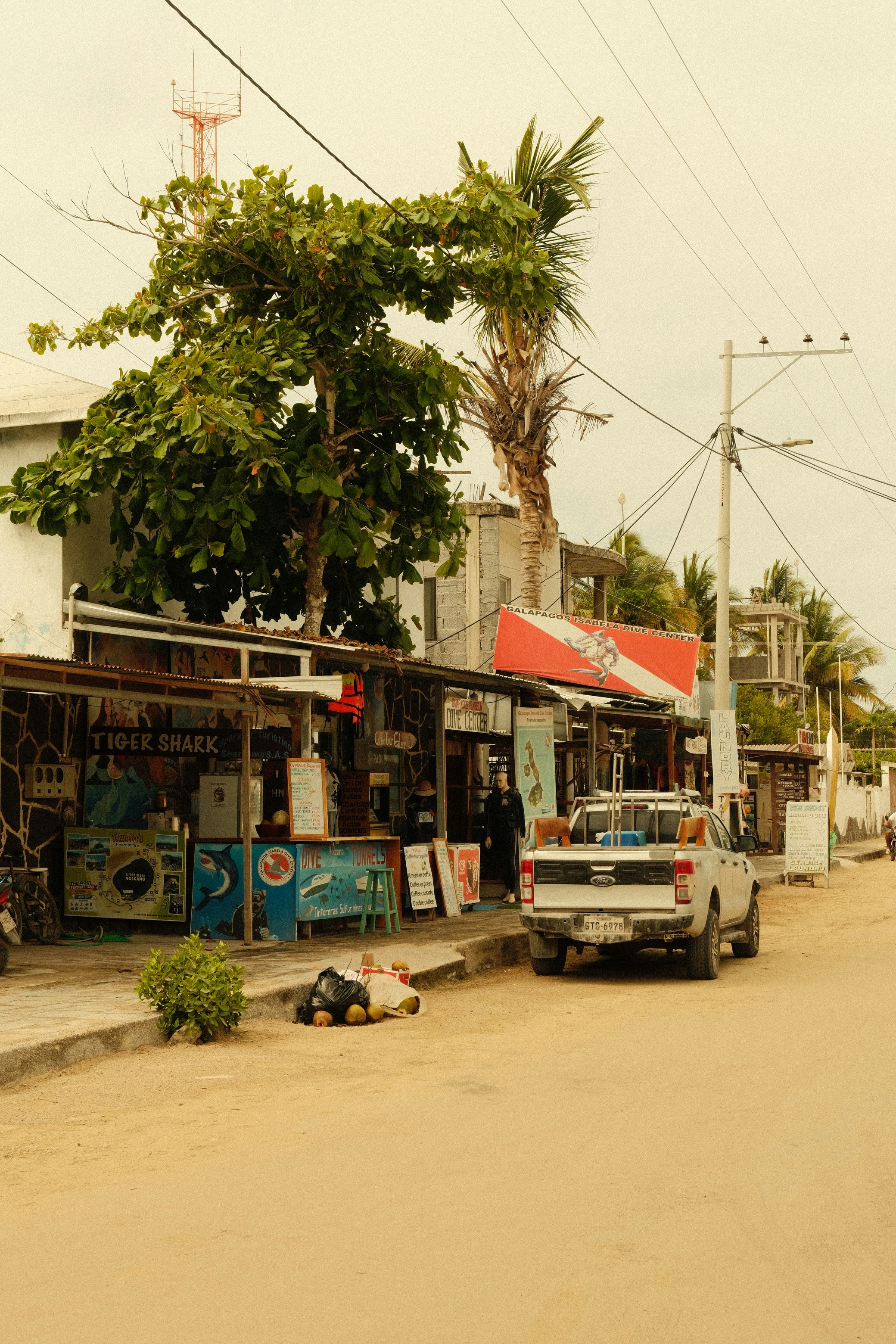 Street scene with shops and a parked truck.