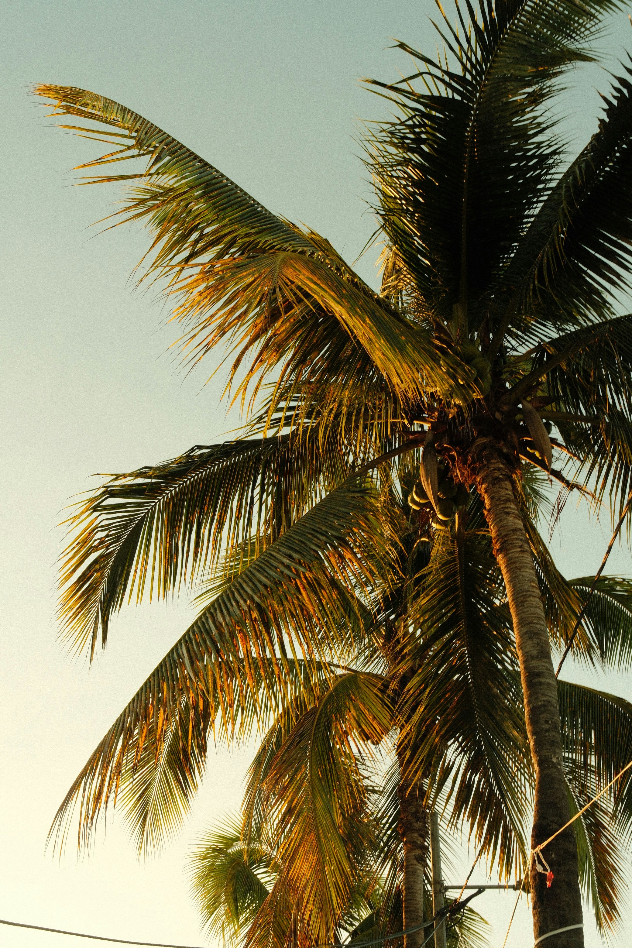 Photo by oj_wildframe