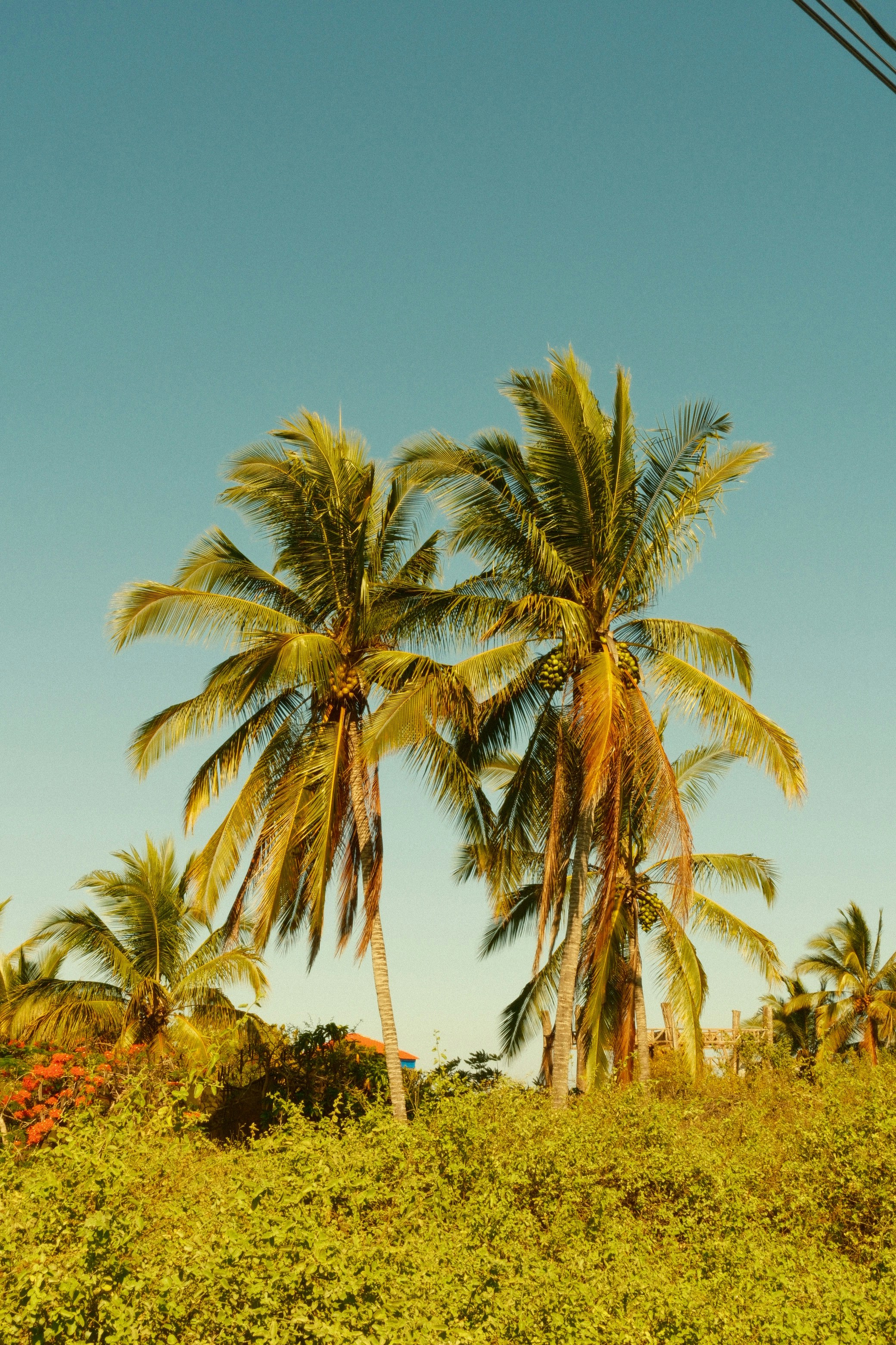 Photo by oj_wildframe