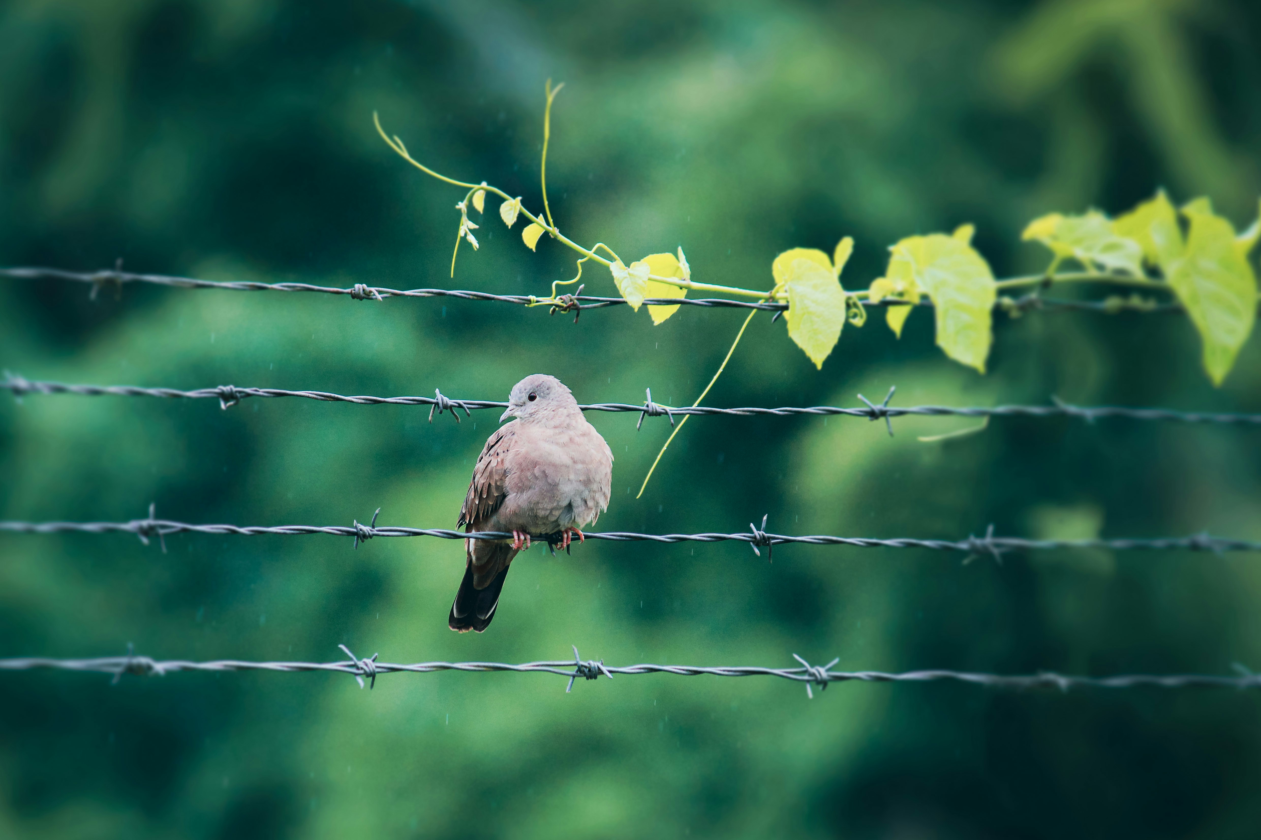 Photo by wriopomba