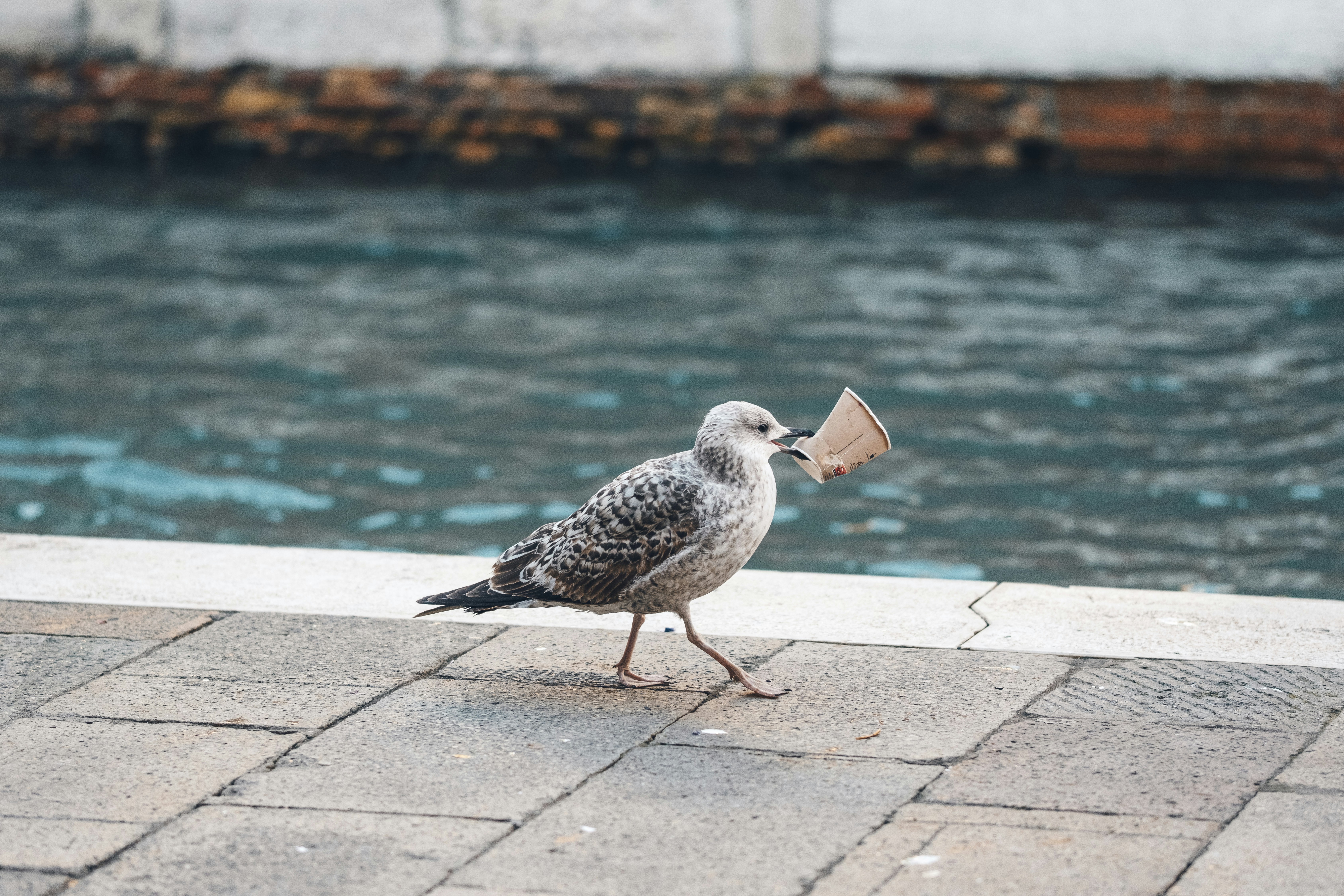 Photo by philipp_dice