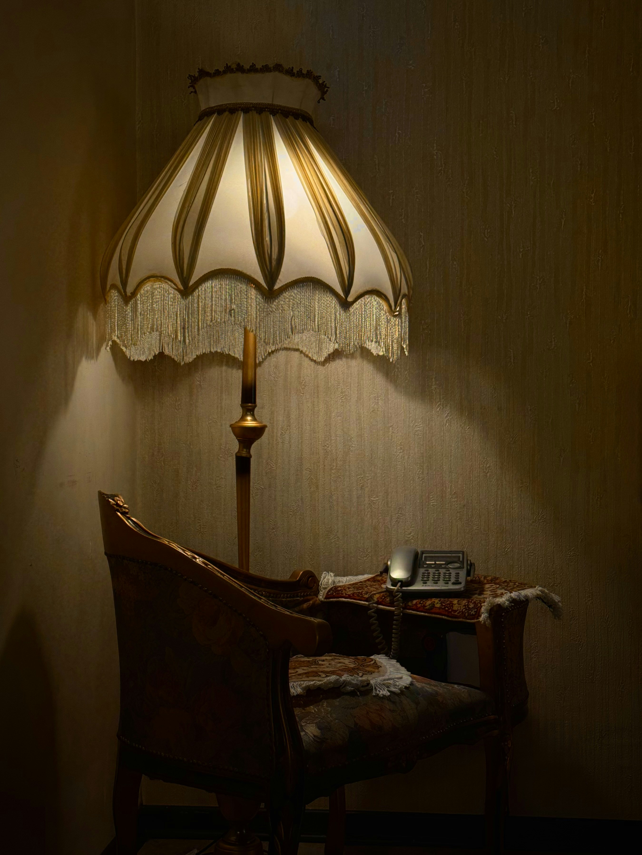 Photo by amirhasanemami