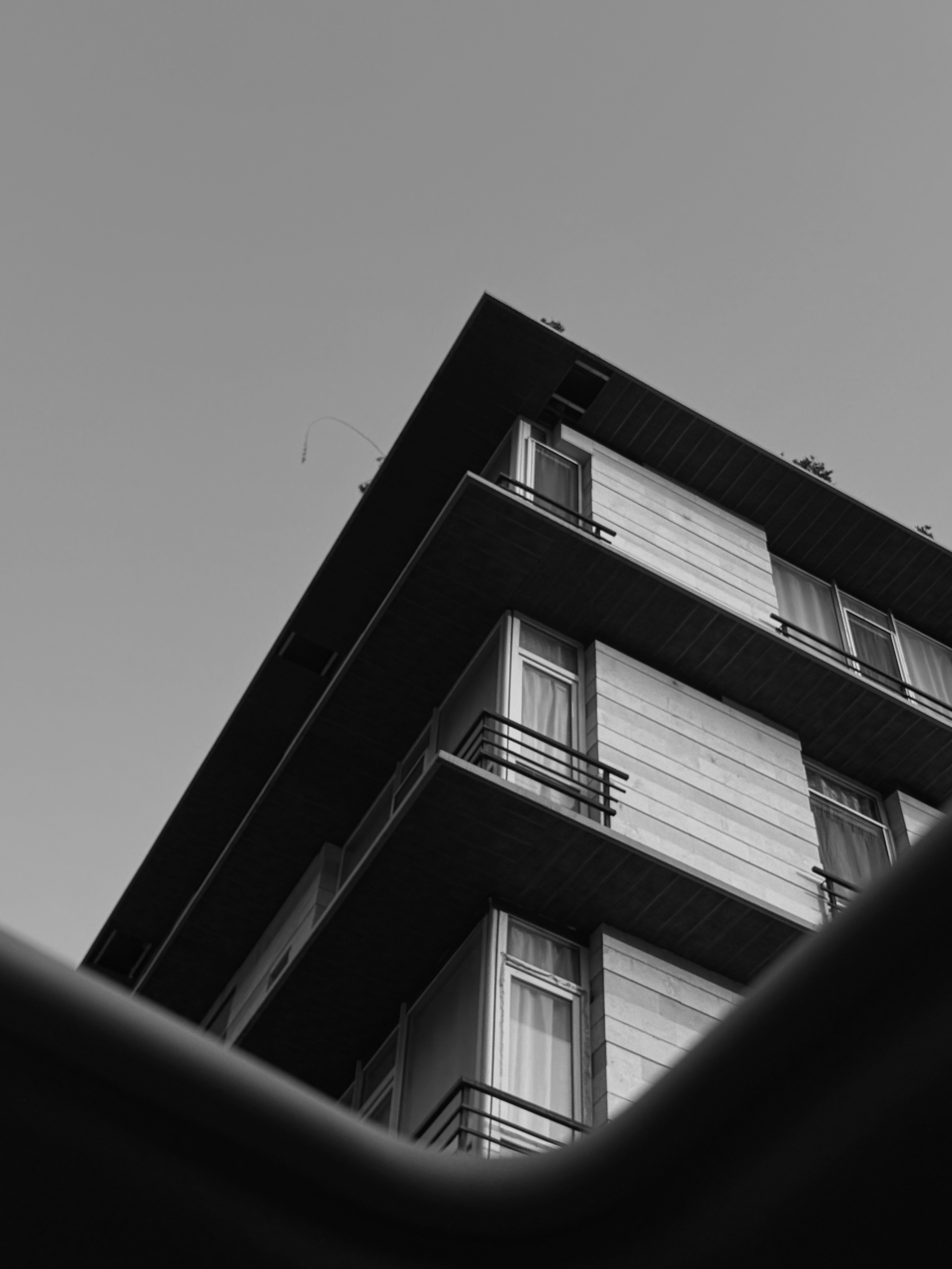 Photo by amirhasanemami