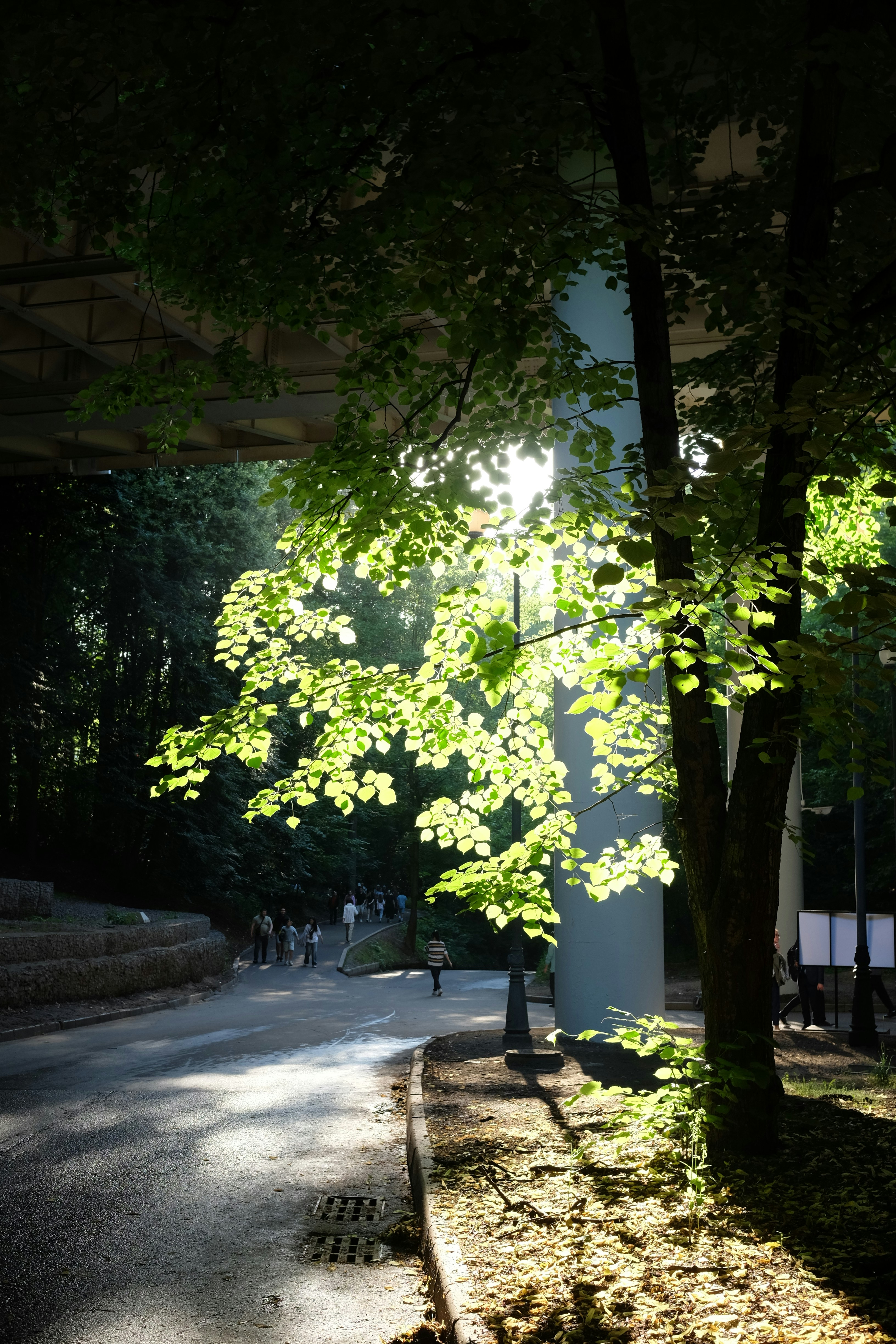 Photo by tutto_passa