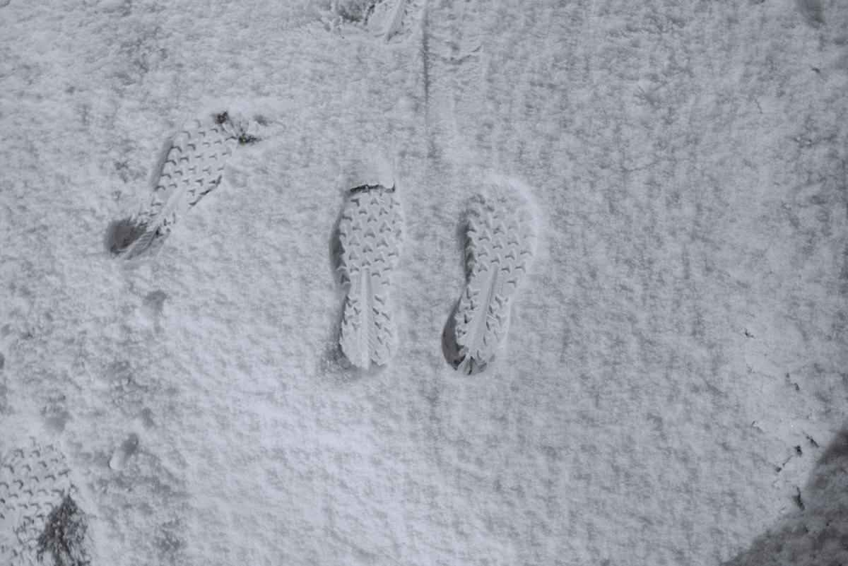 The Yeti Mystery: DNA Evidence, the 1951 Footprint, and What Lives in ...