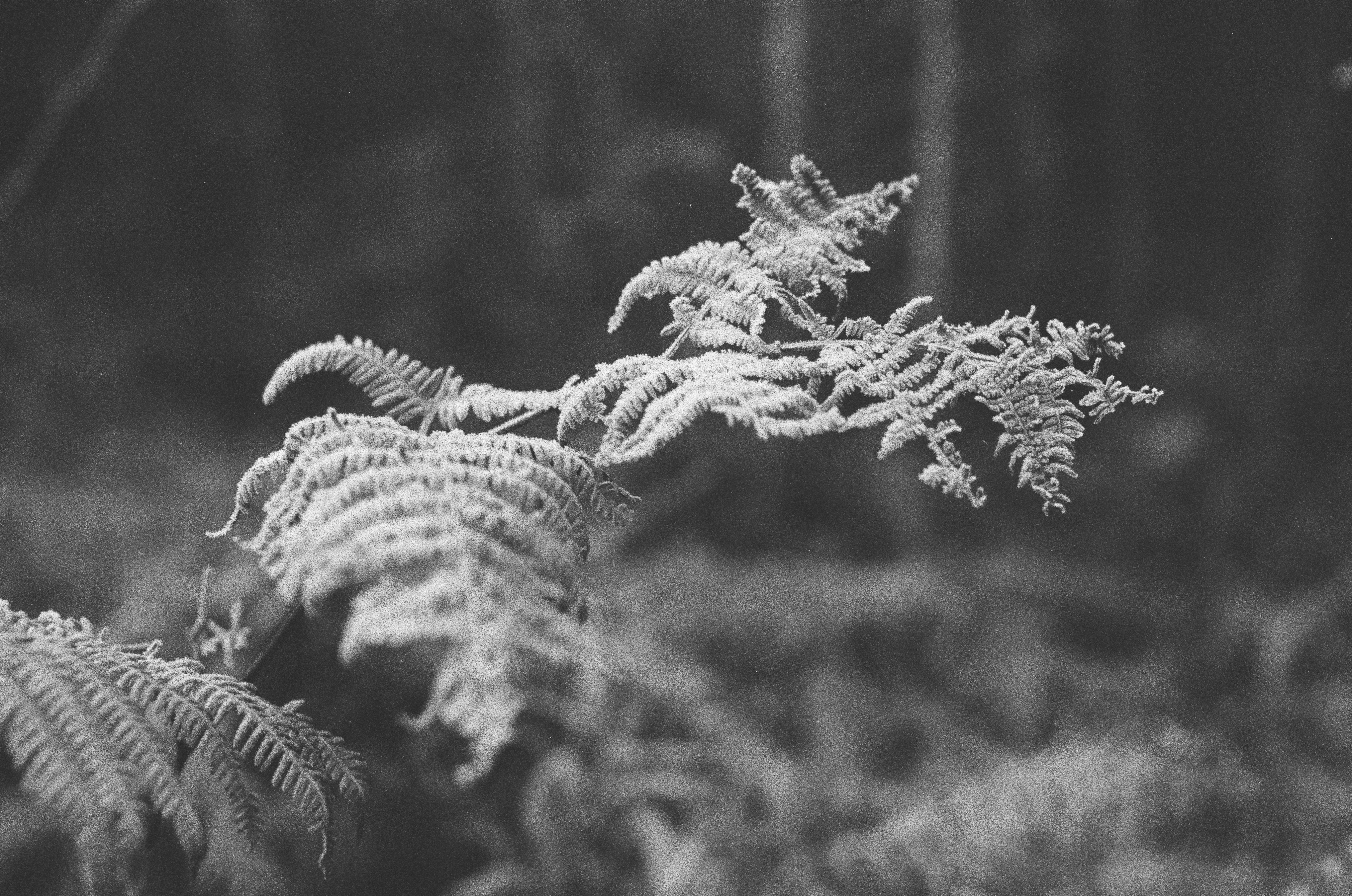 Photo by tanyabarrow