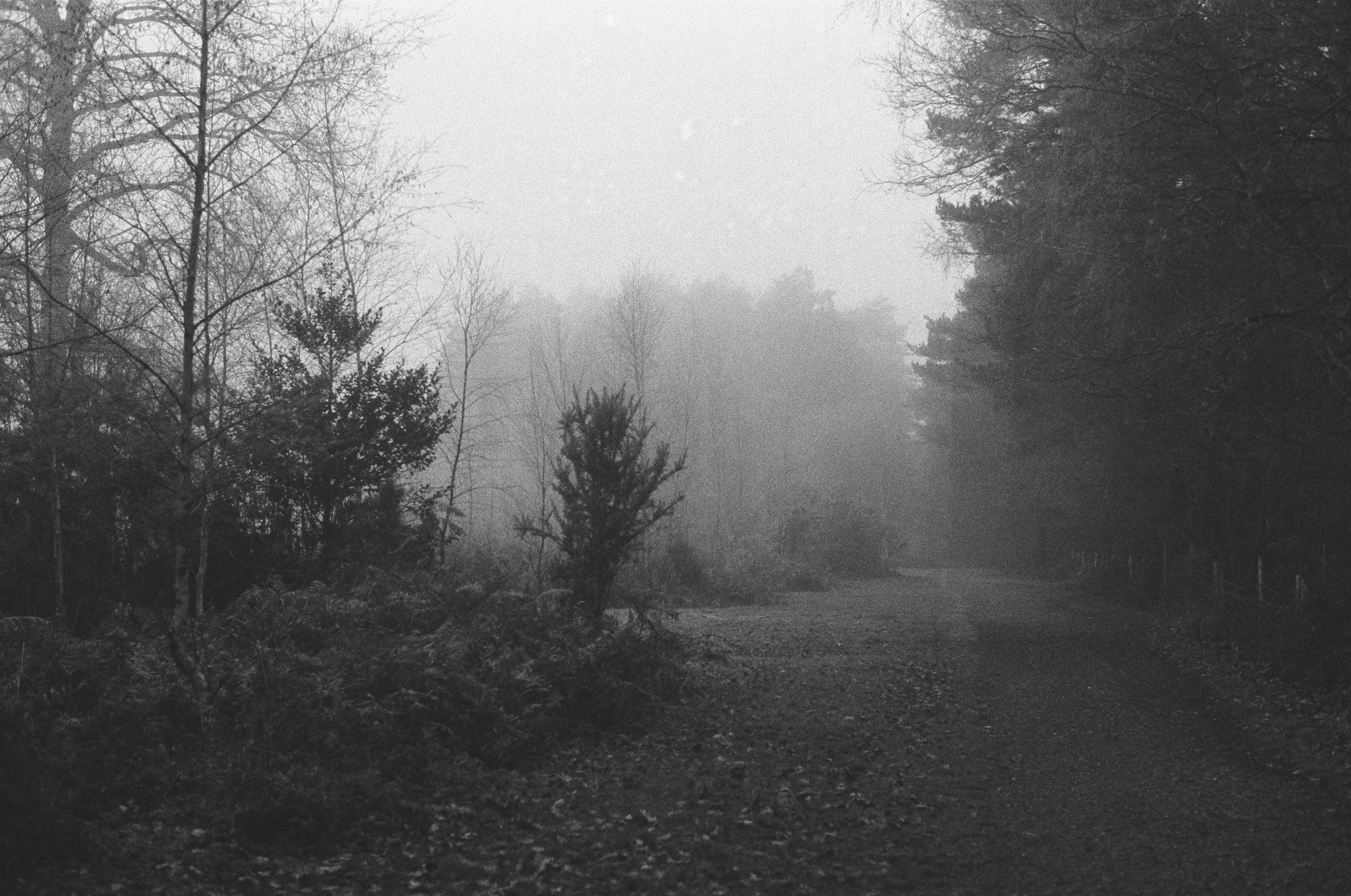 Photo by tanyabarrow