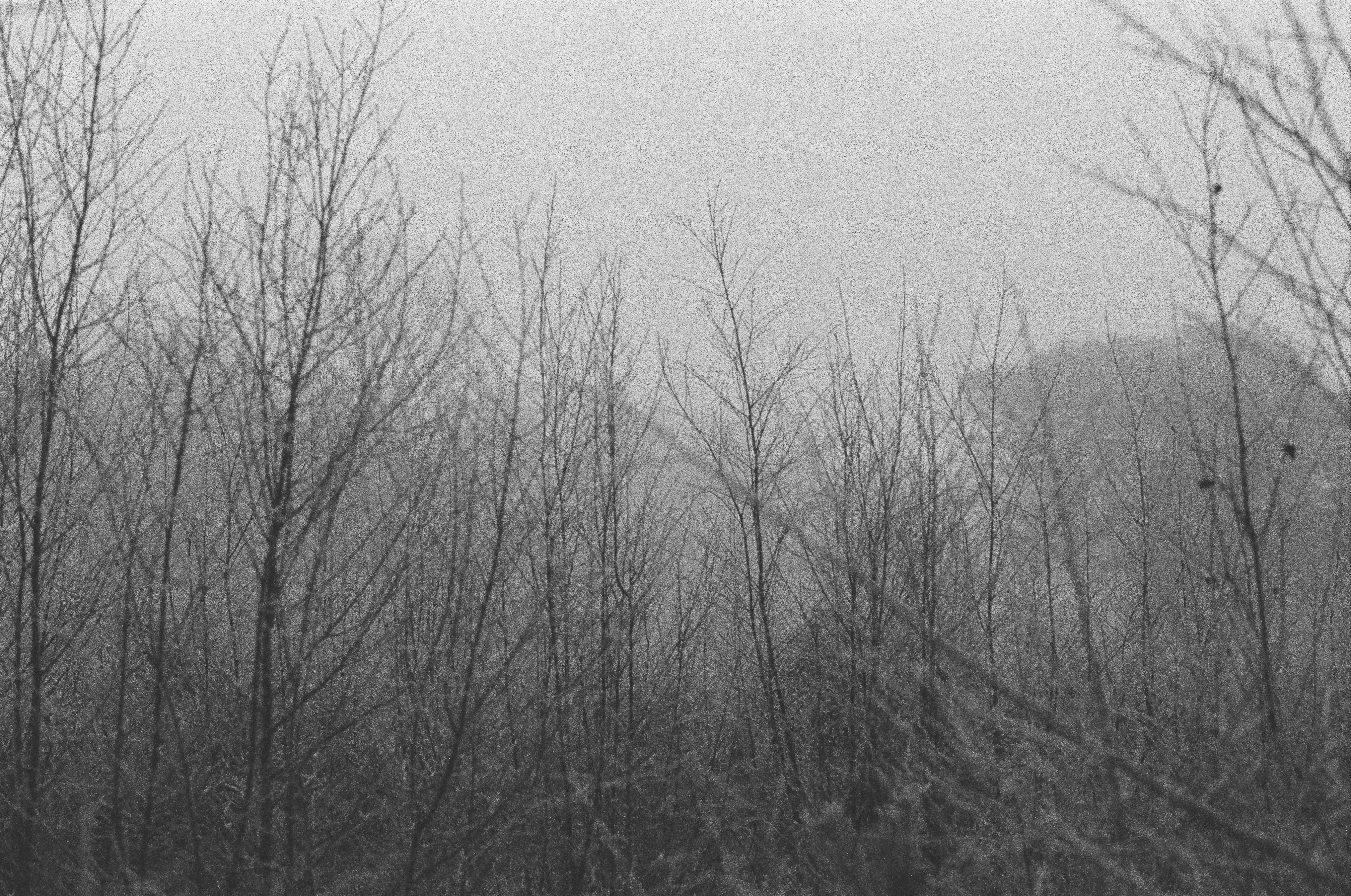 Photo by tanyabarrow