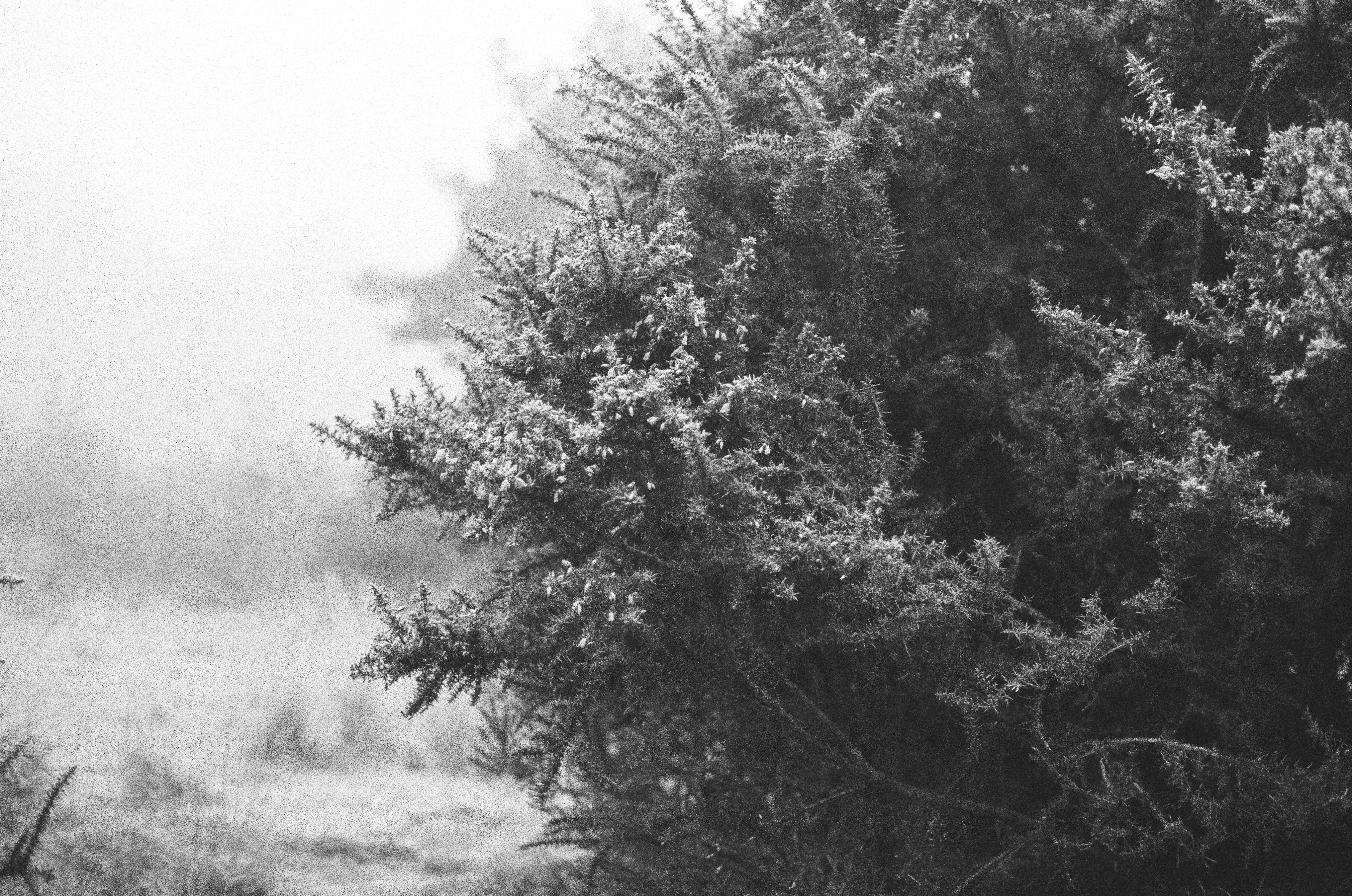 Photo by tanyabarrow