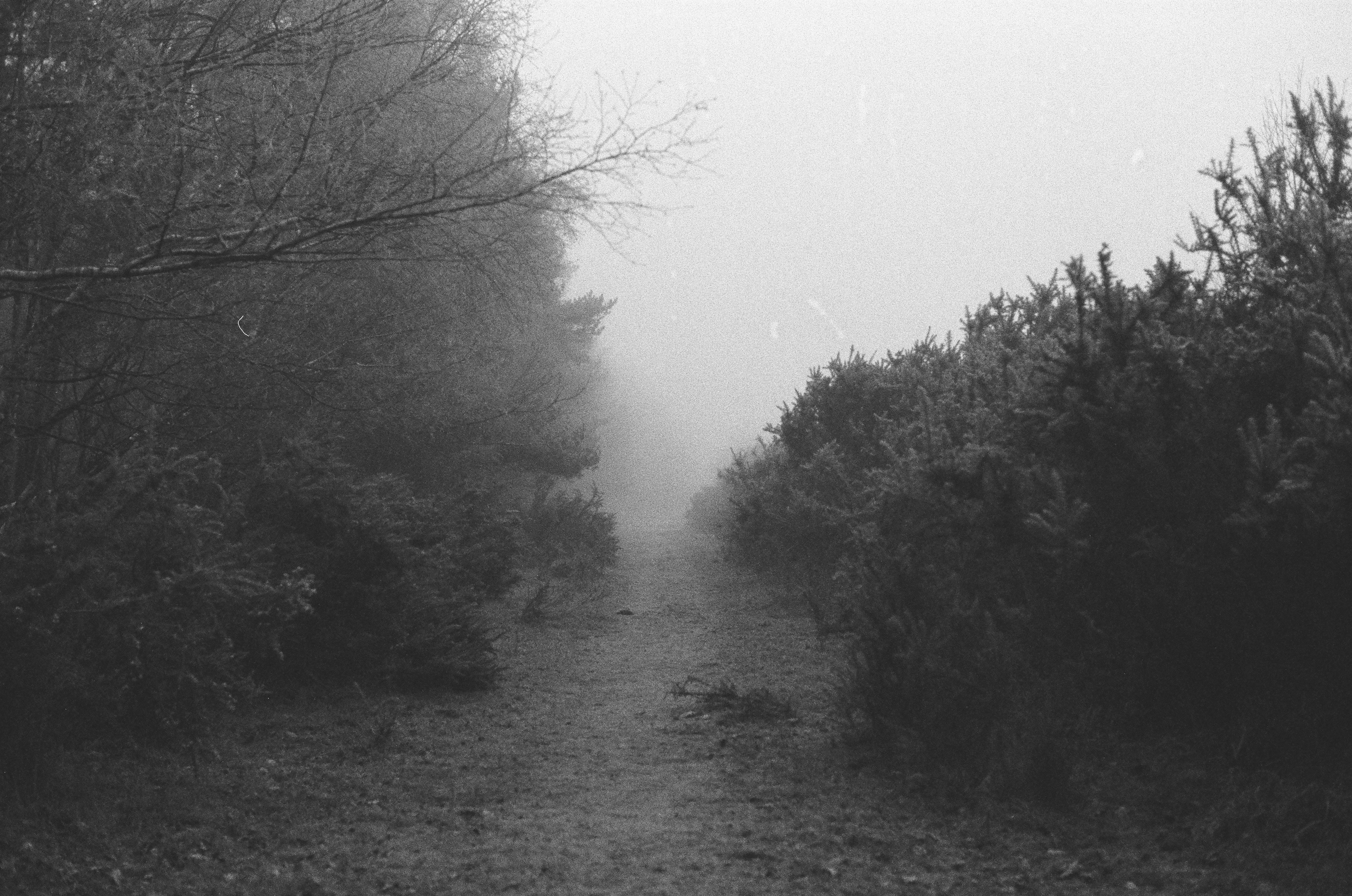 Photo by tanyabarrow