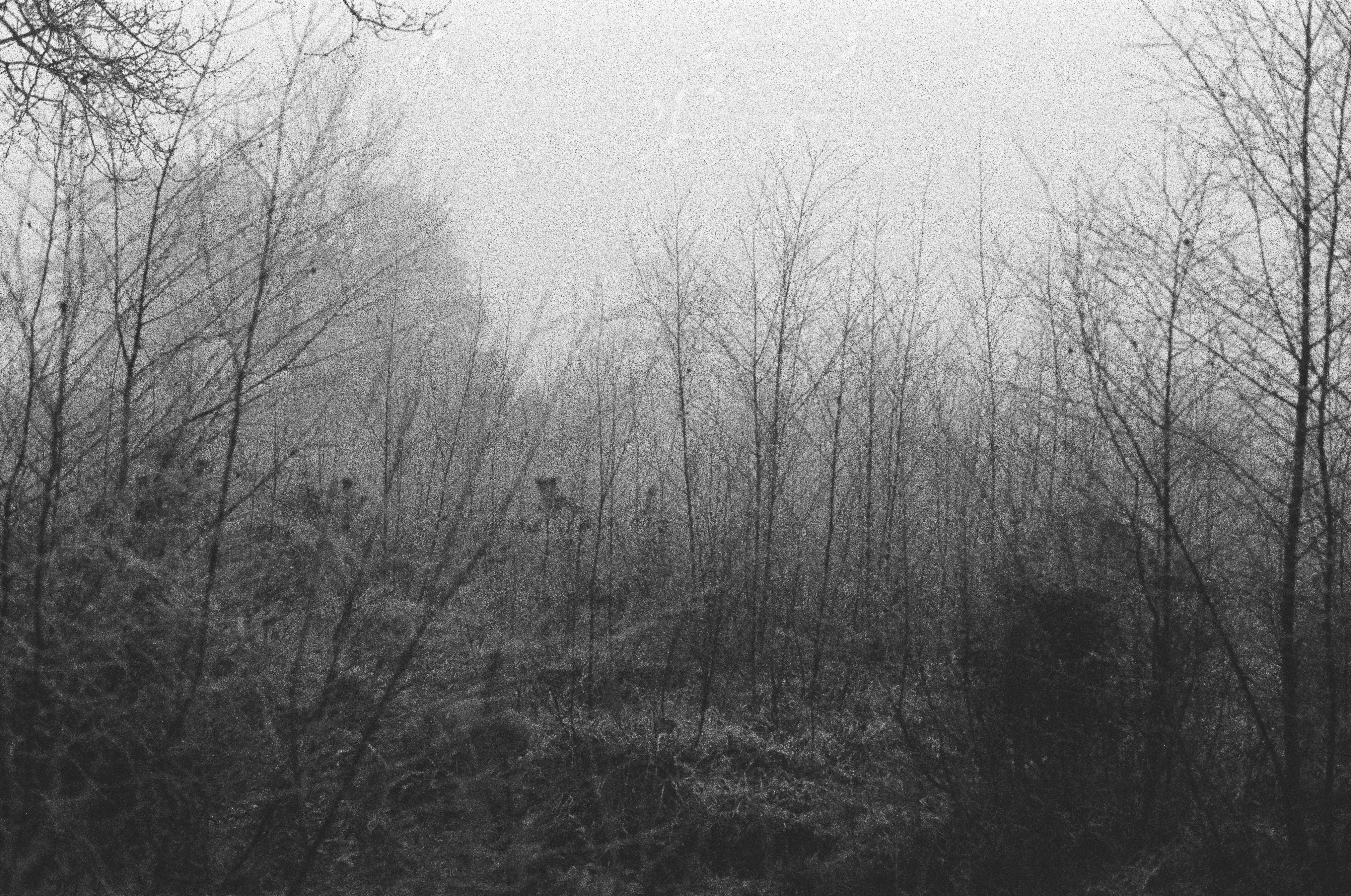 Photo by tanyabarrow