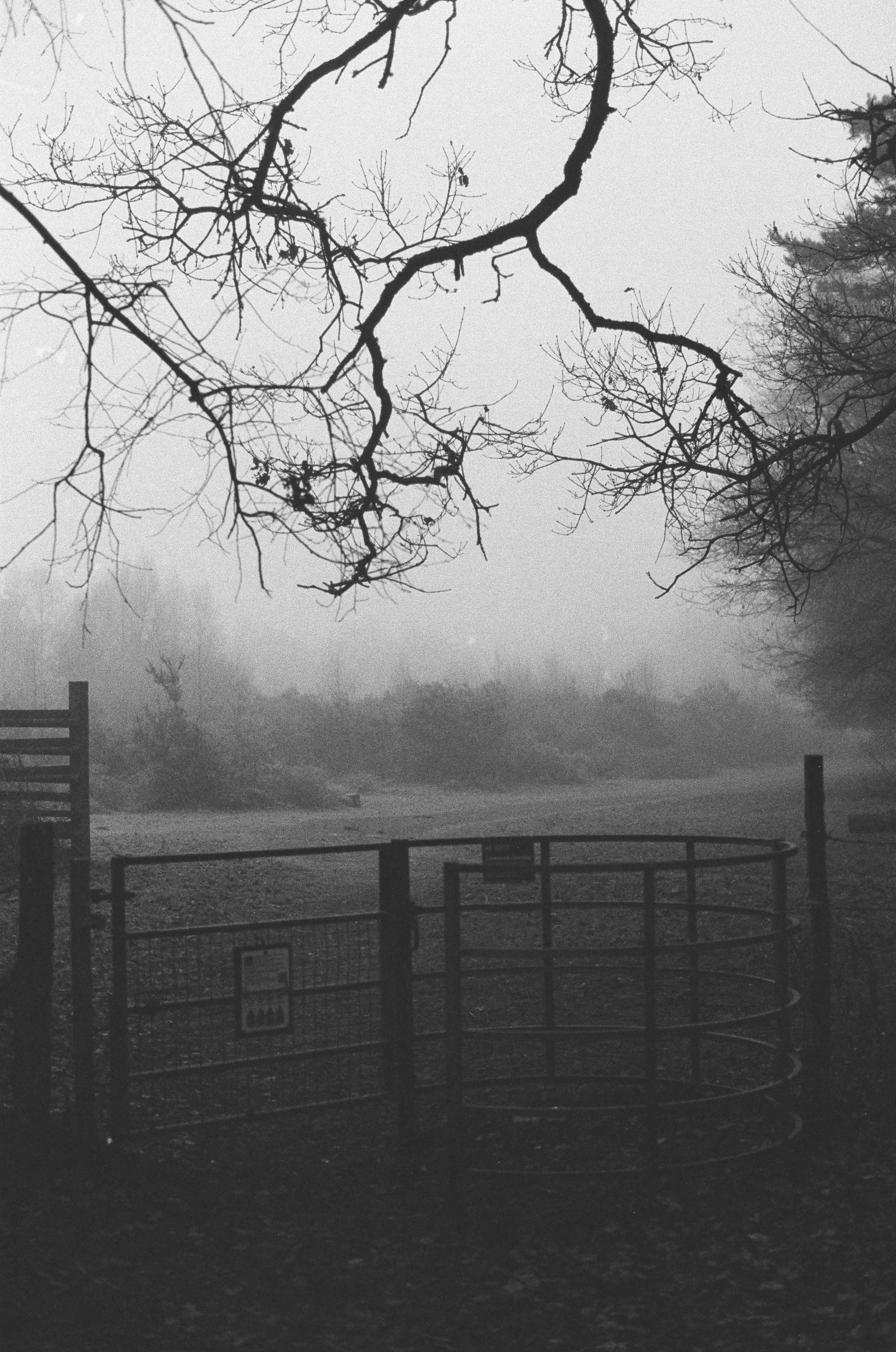 Photo by tanyabarrow