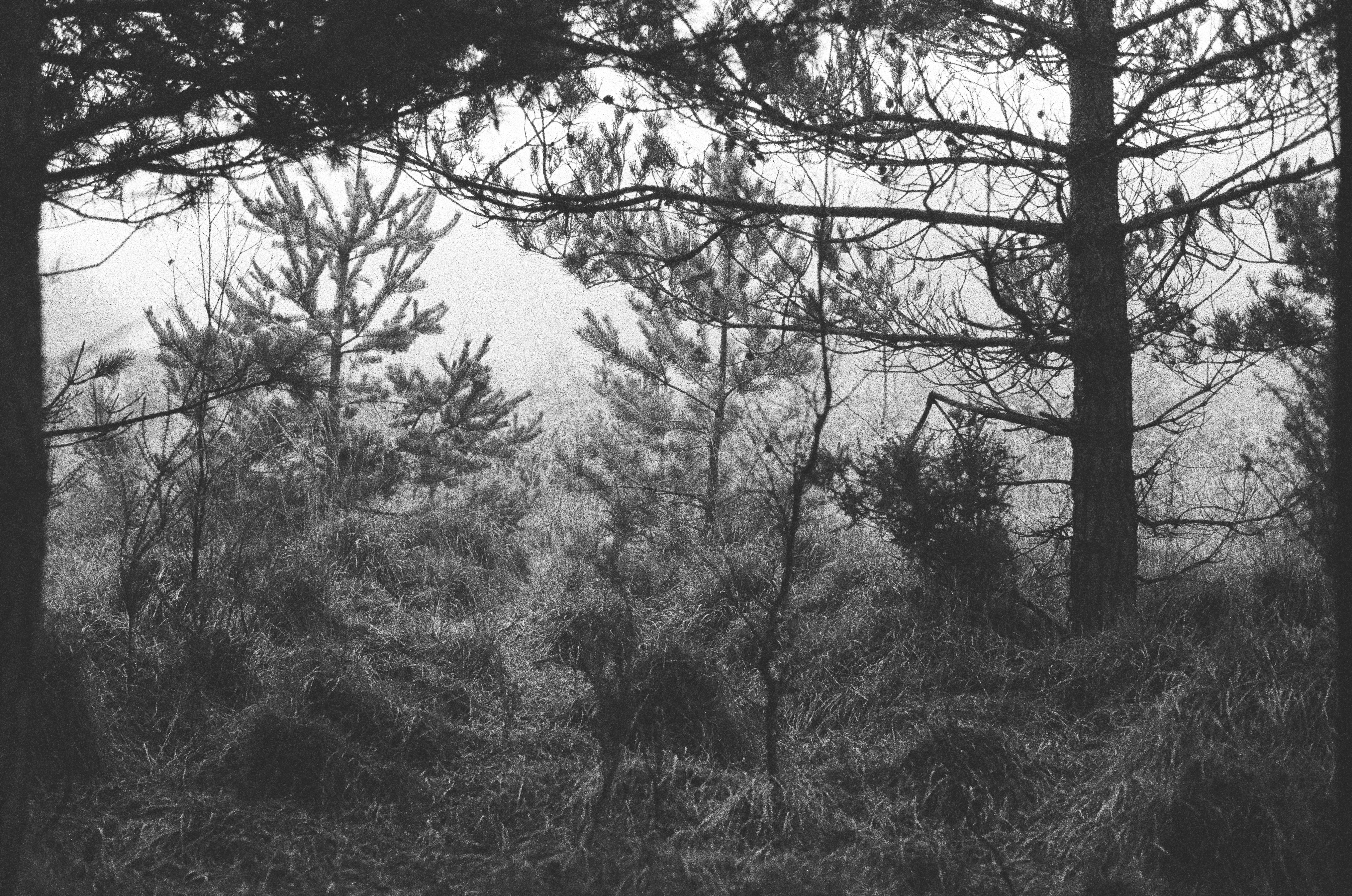 Photo by tanyabarrow