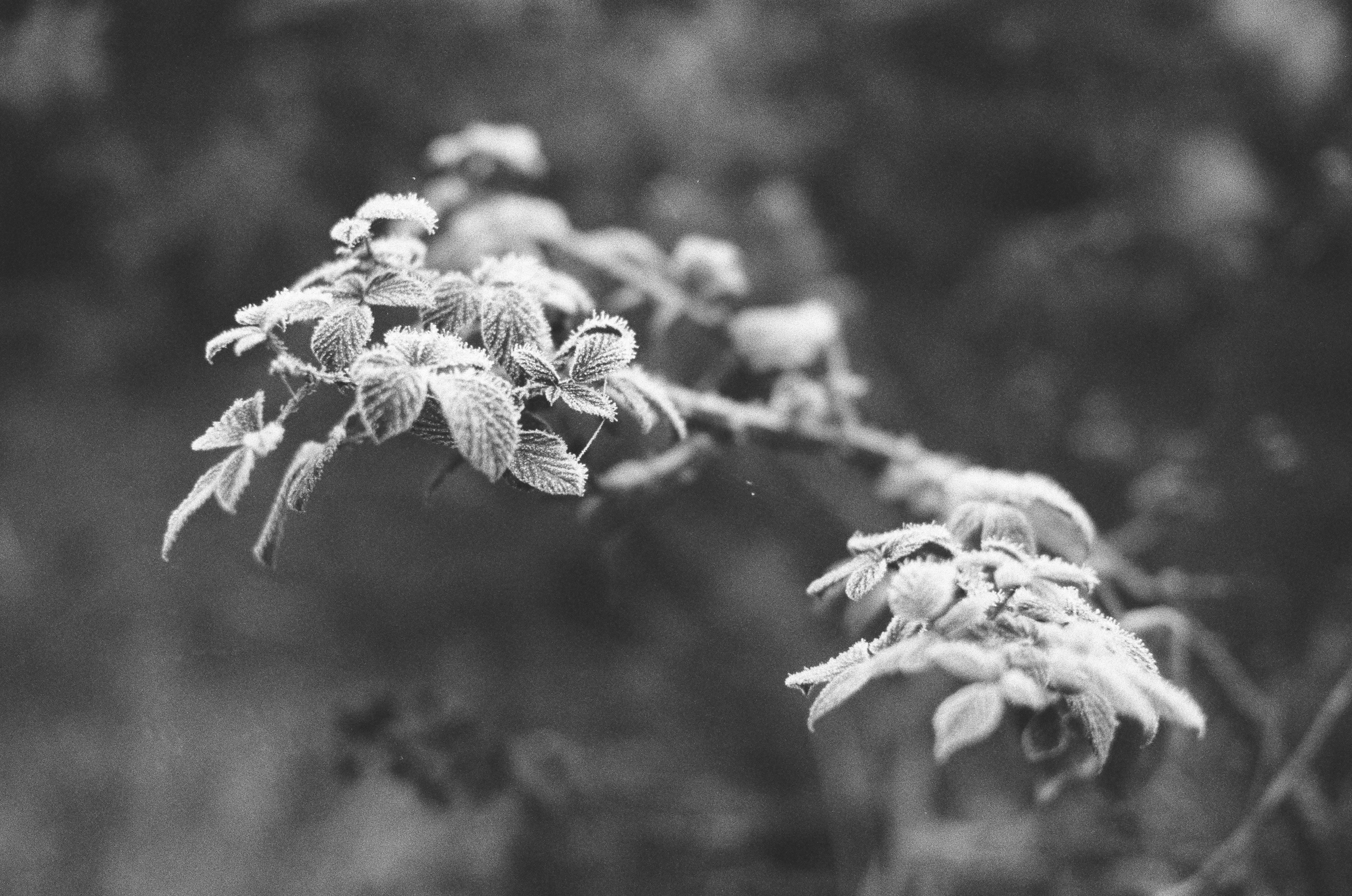 Photo by tanyabarrow