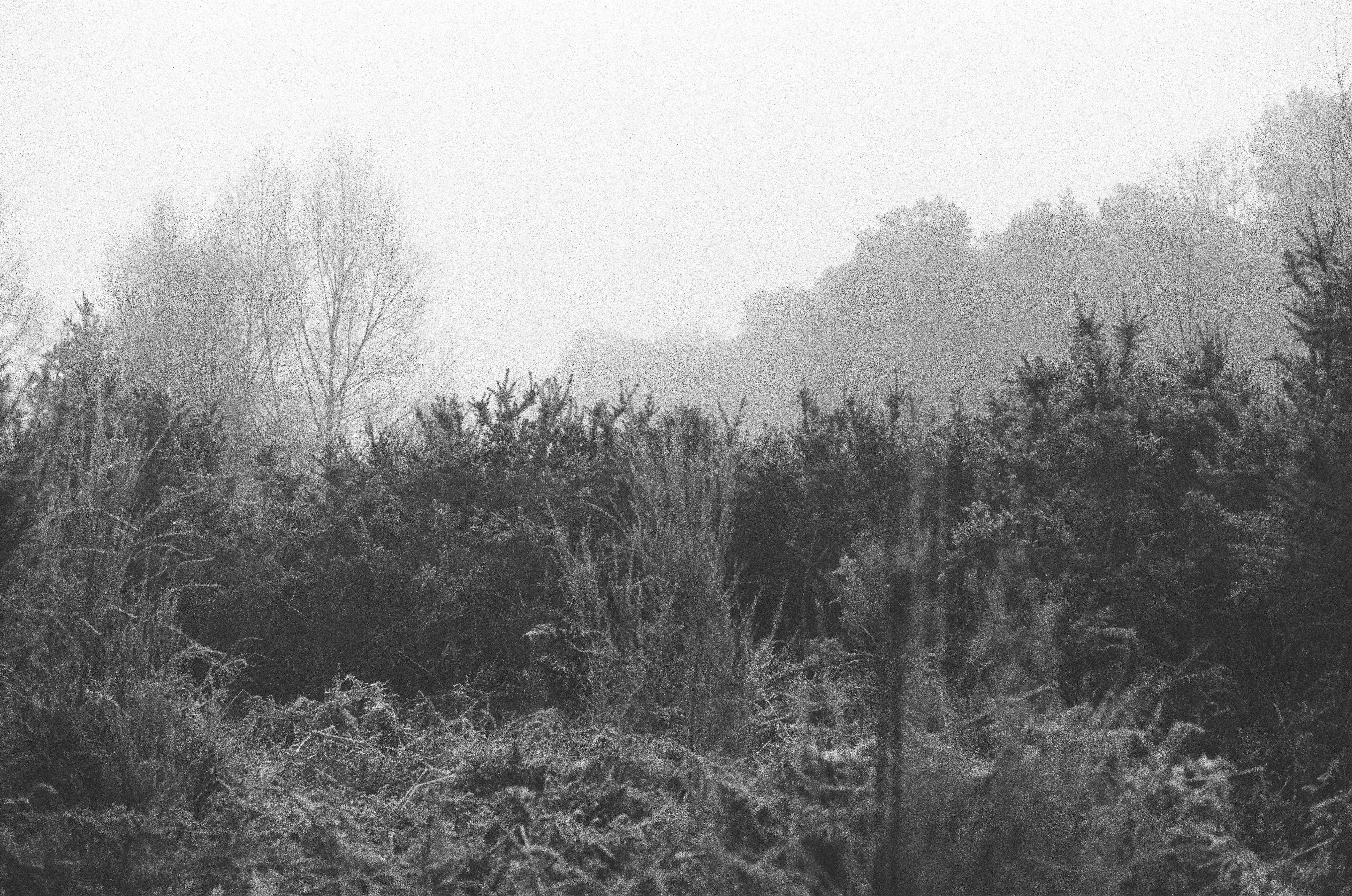 Photo by tanyabarrow