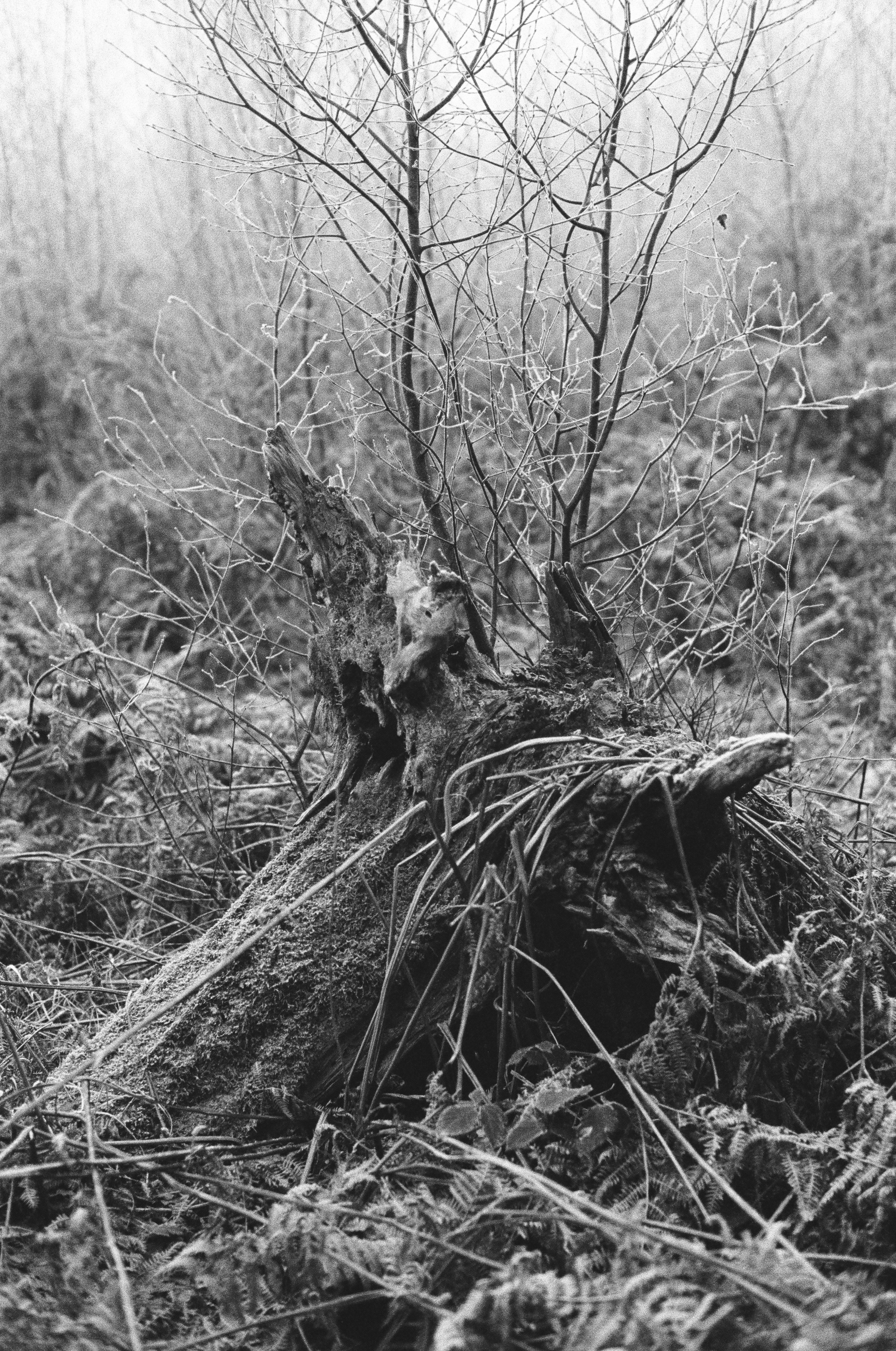 Photo by tanyabarrow