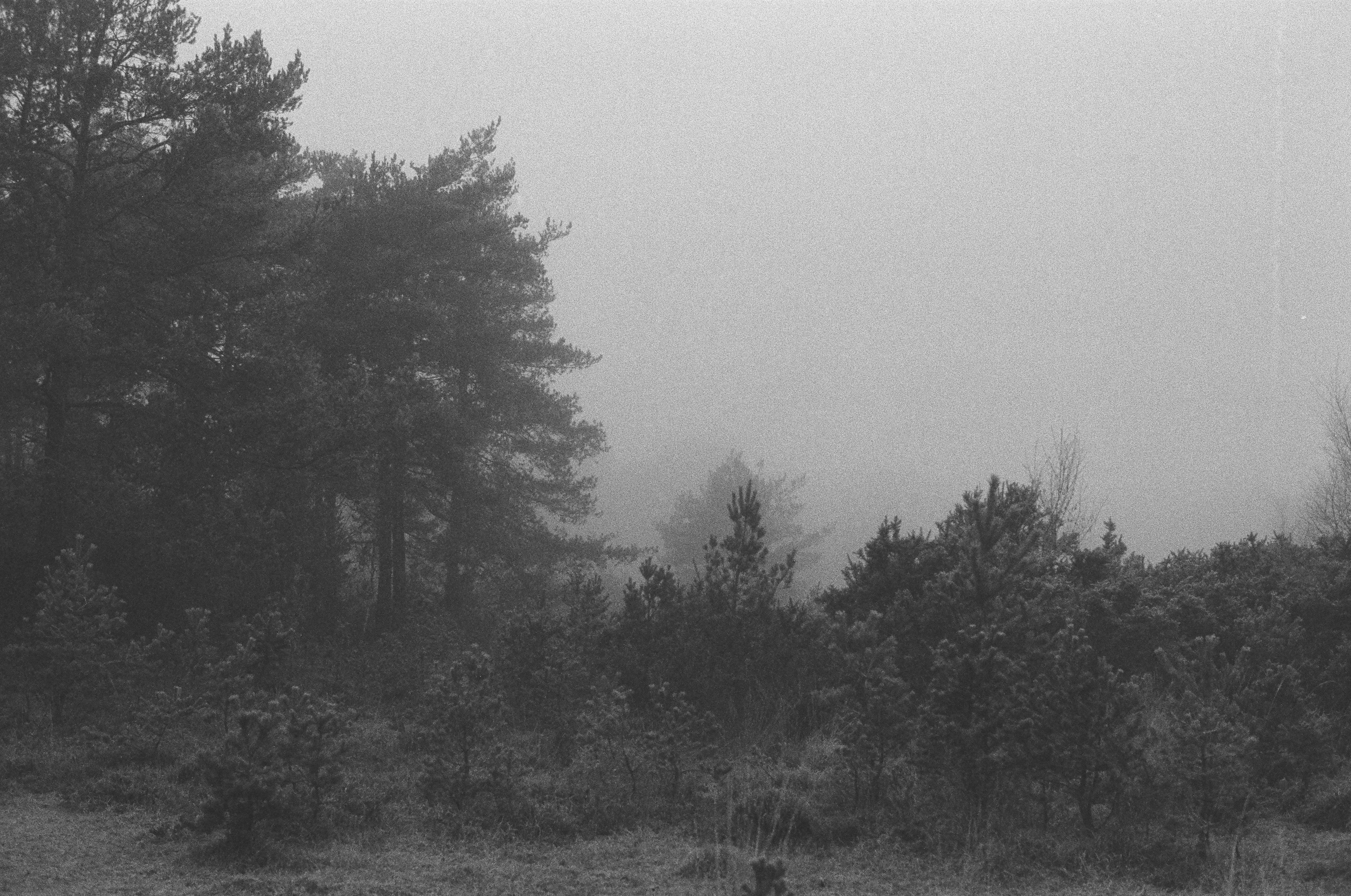 Photo by tanyabarrow