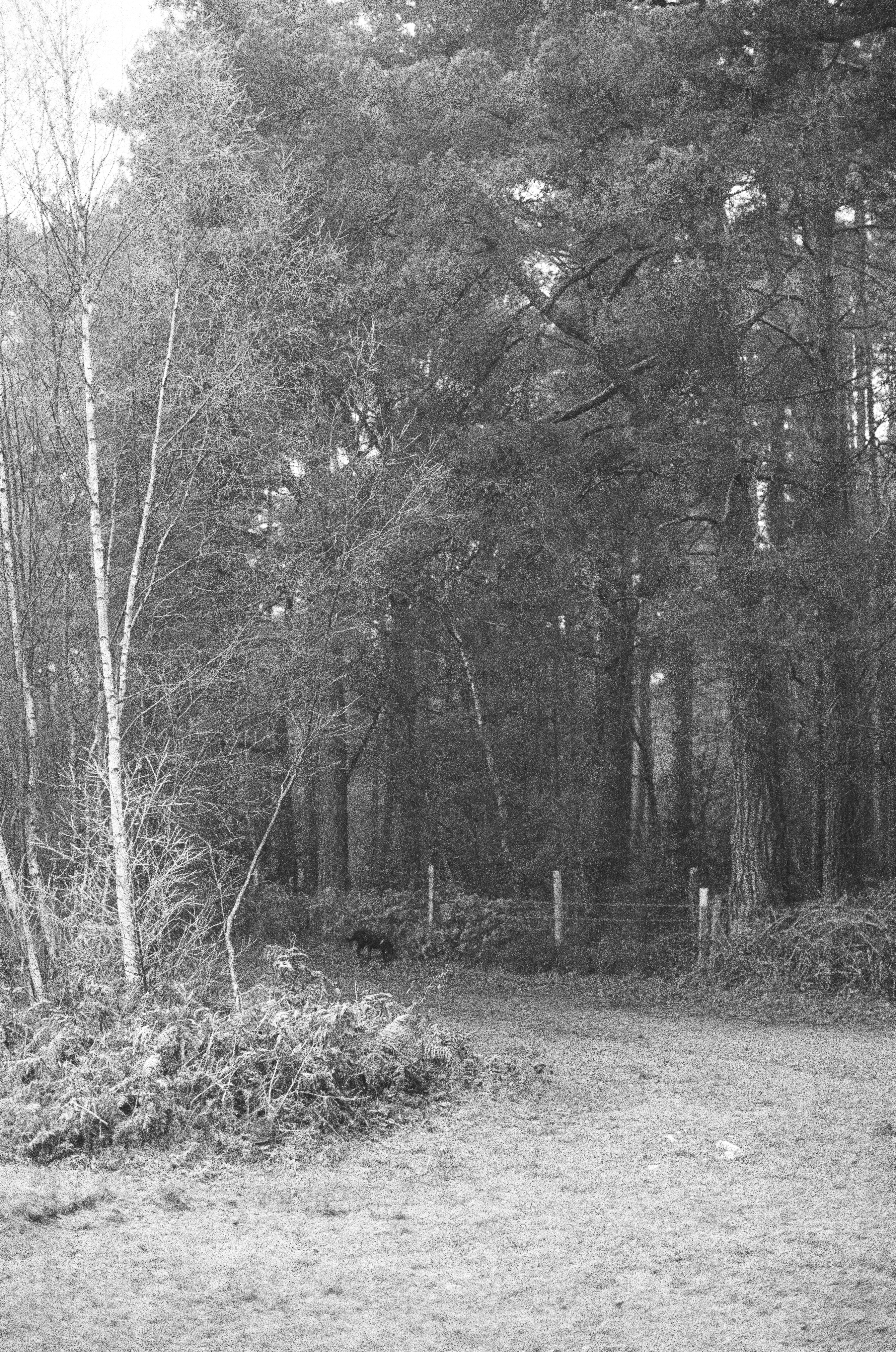 Photo by tanyabarrow