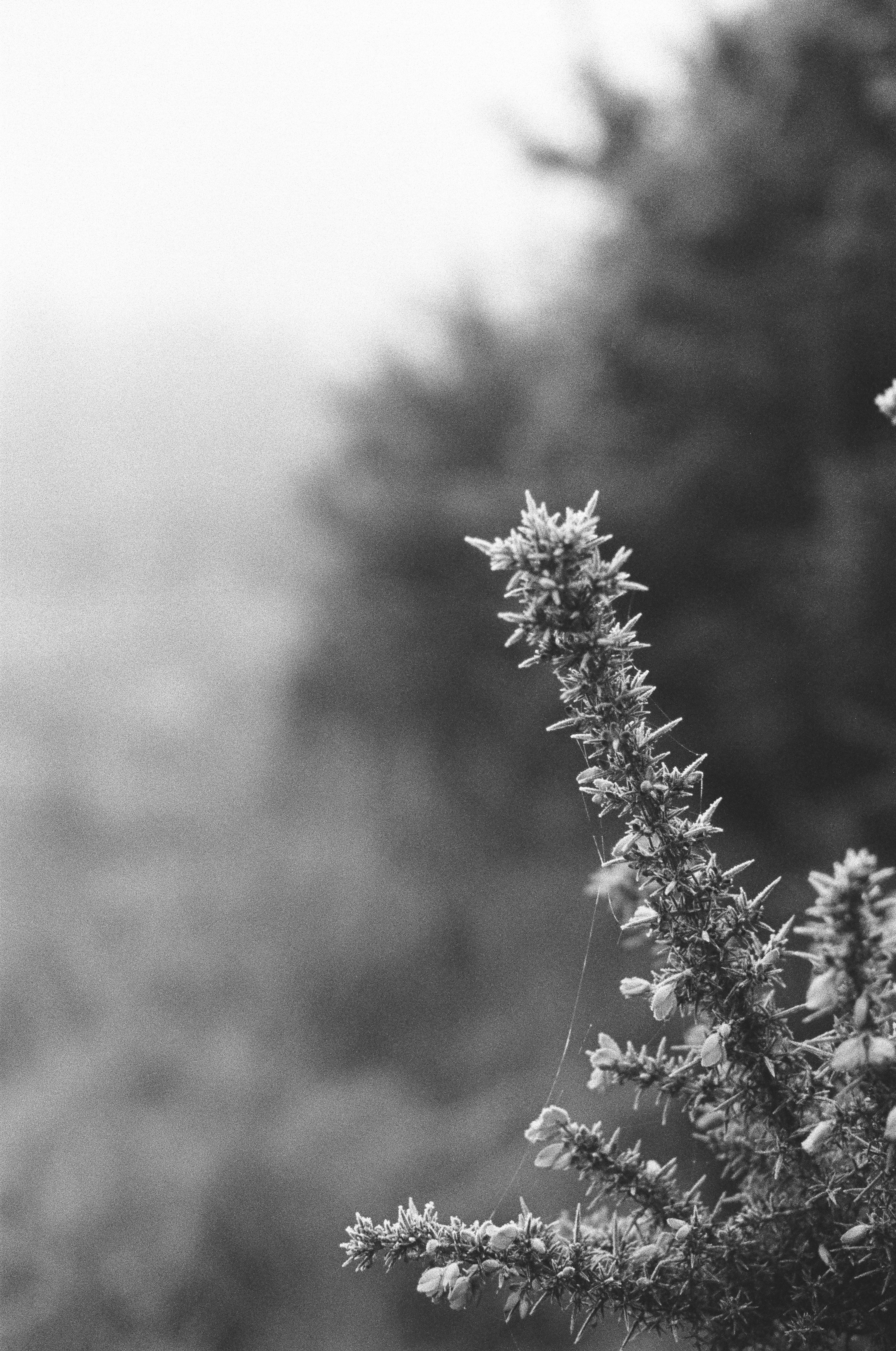 Photo by tanyabarrow