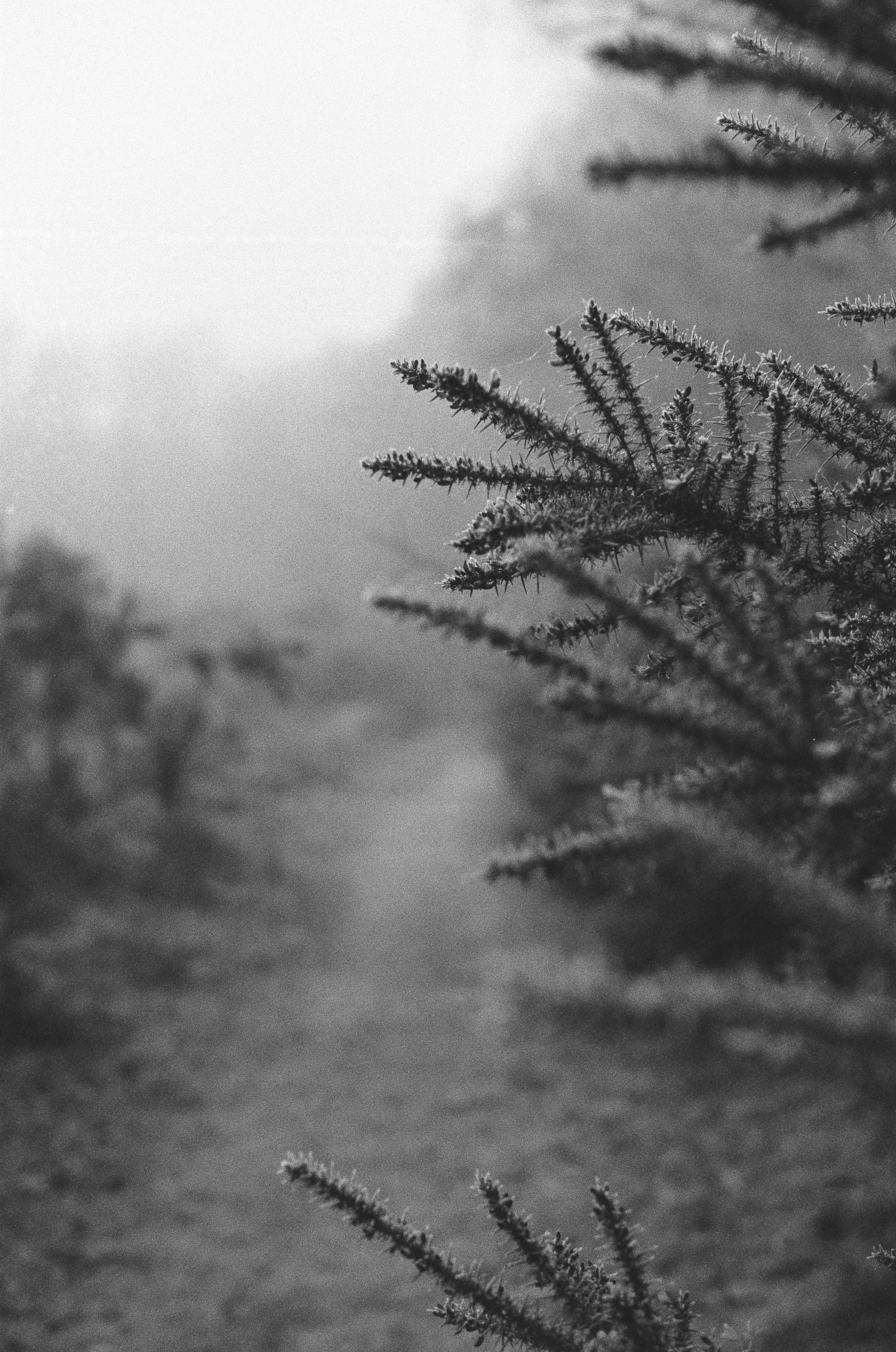 Photo by tanyabarrow