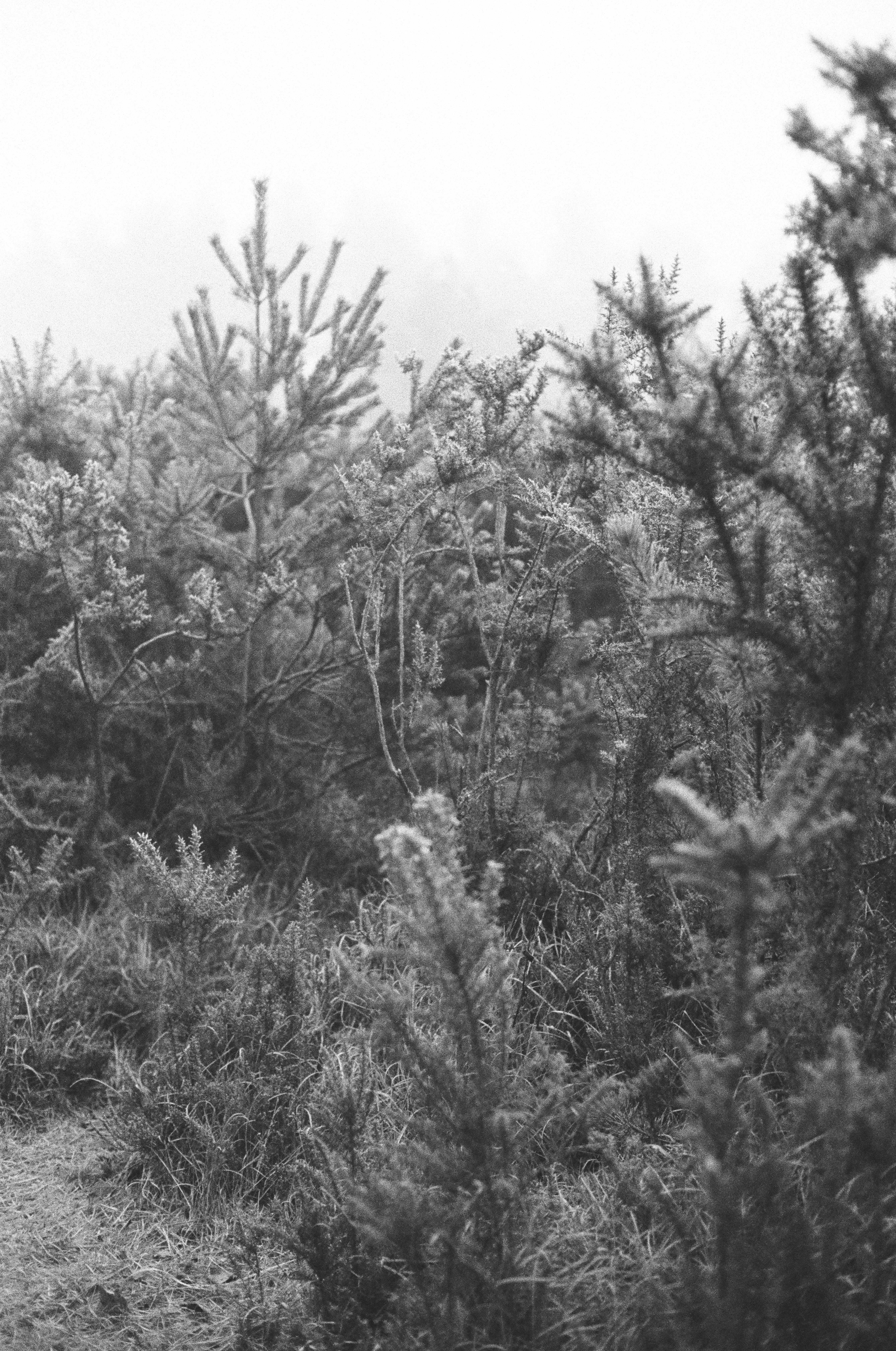 Photo by tanyabarrow