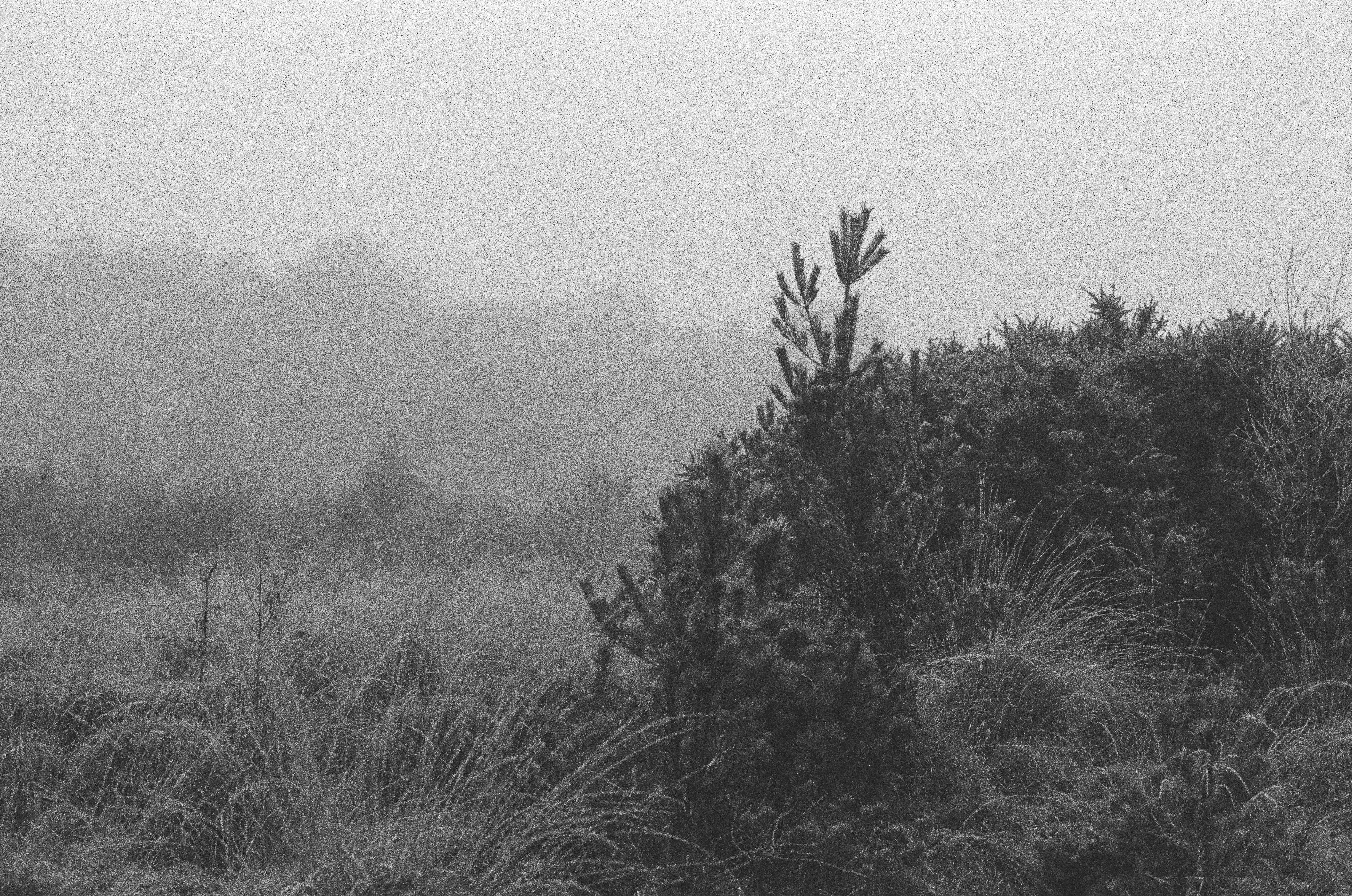 Photo by tanyabarrow