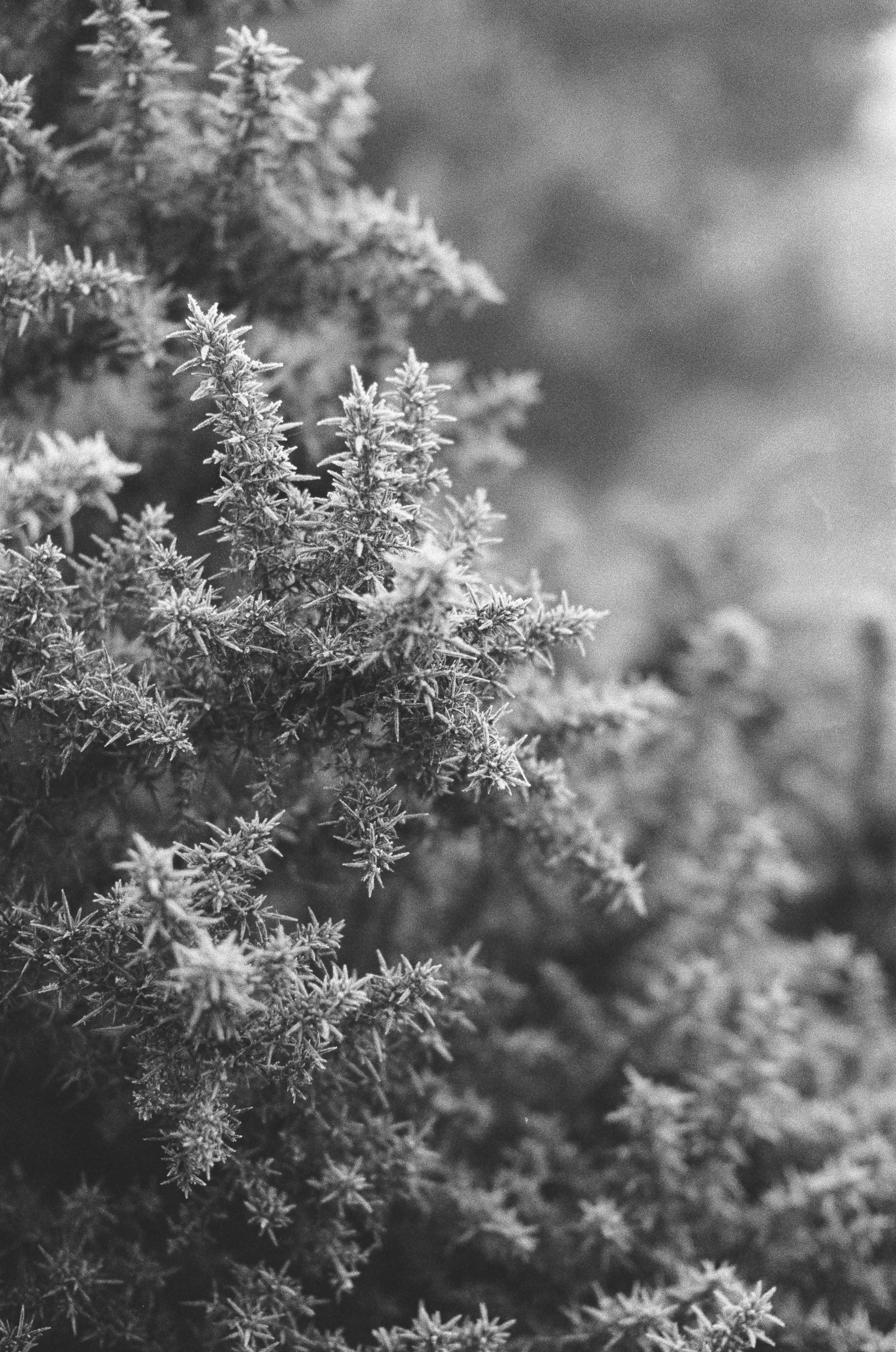 Photo by tanyabarrow